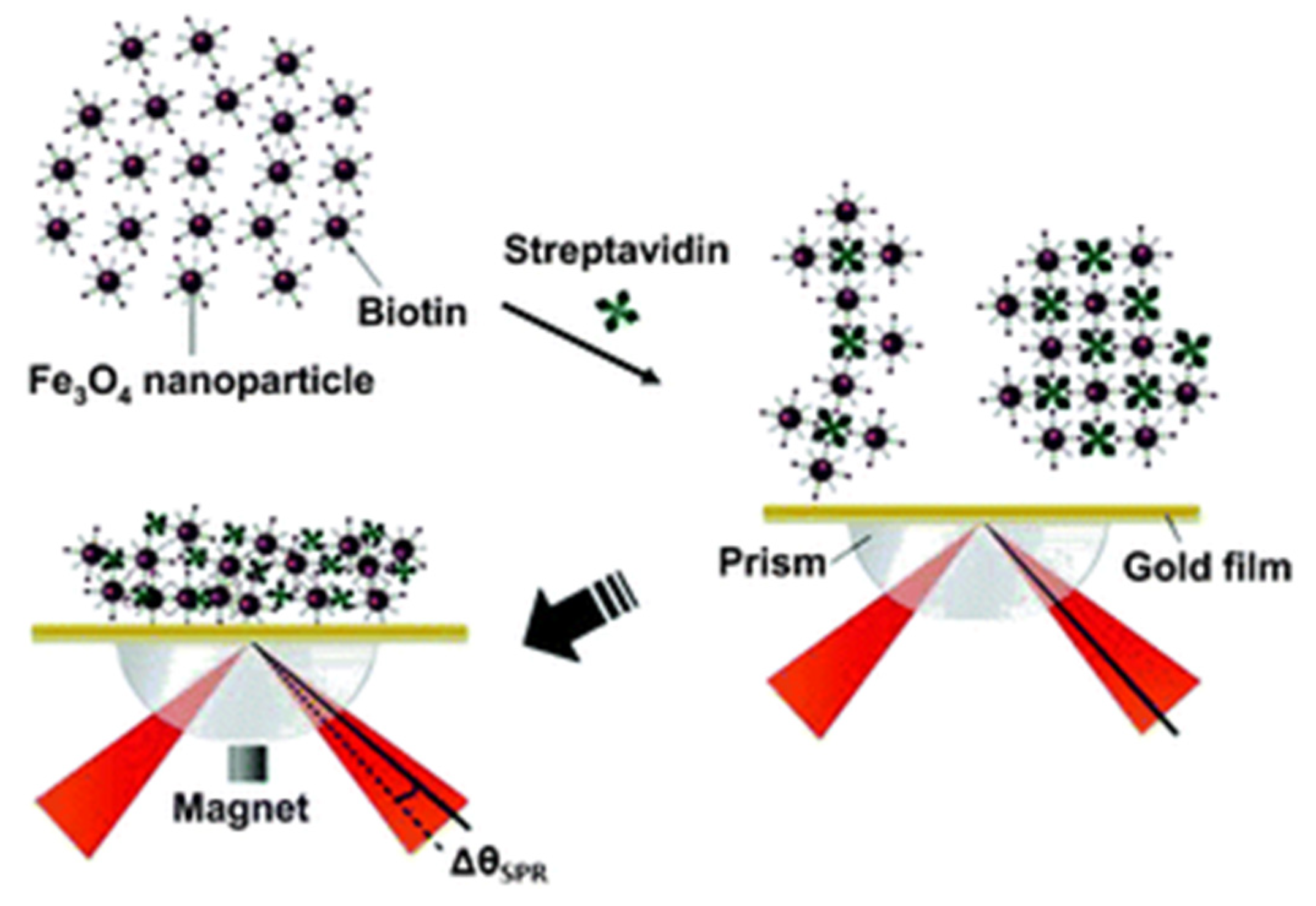 Magnetochemistry 05 00059 g002 Magnetochemistry 05 00059 g002