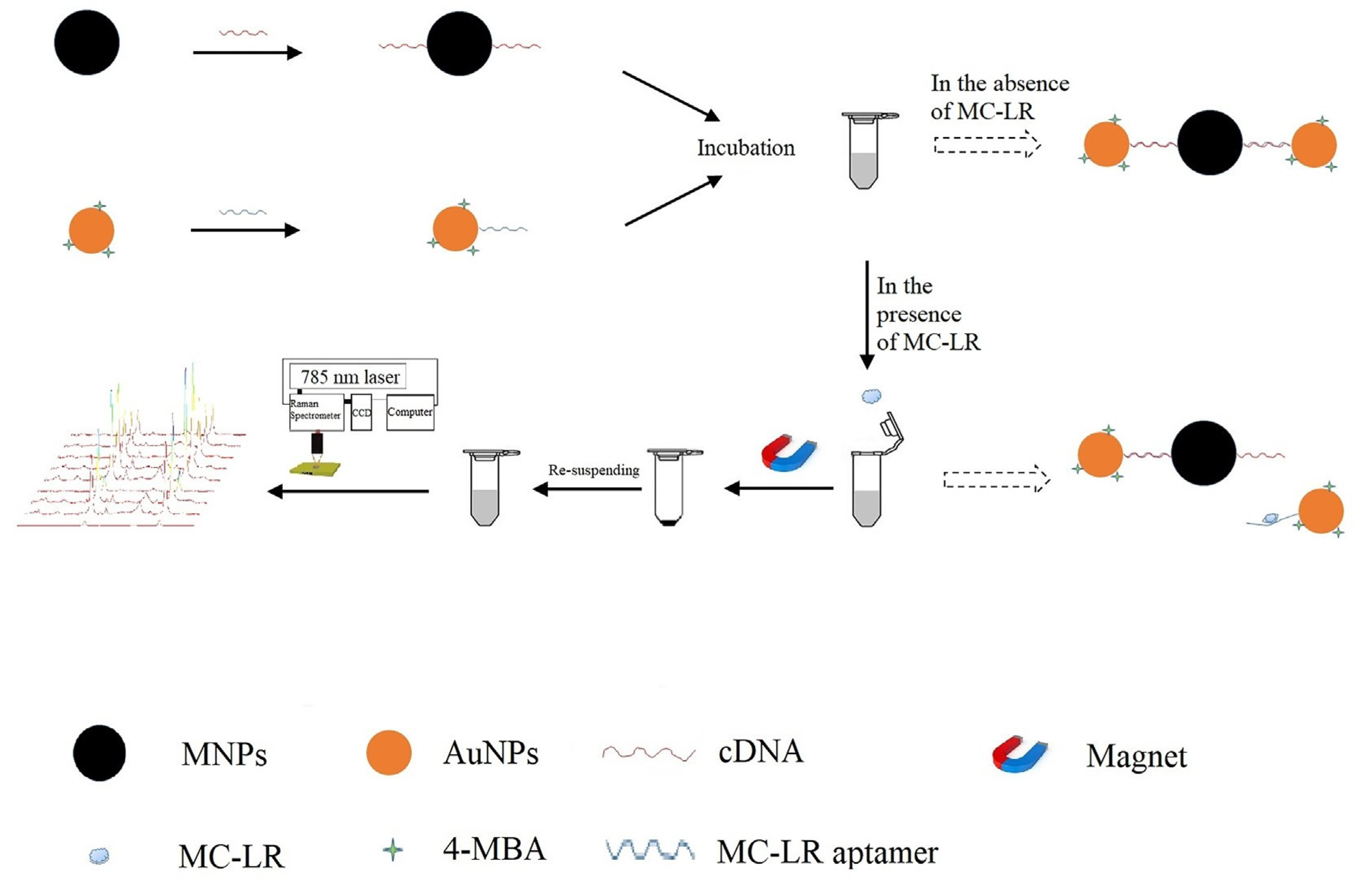 Magnetochemistry 05 00059 g003 Magnetochemistry 05 00059 g003