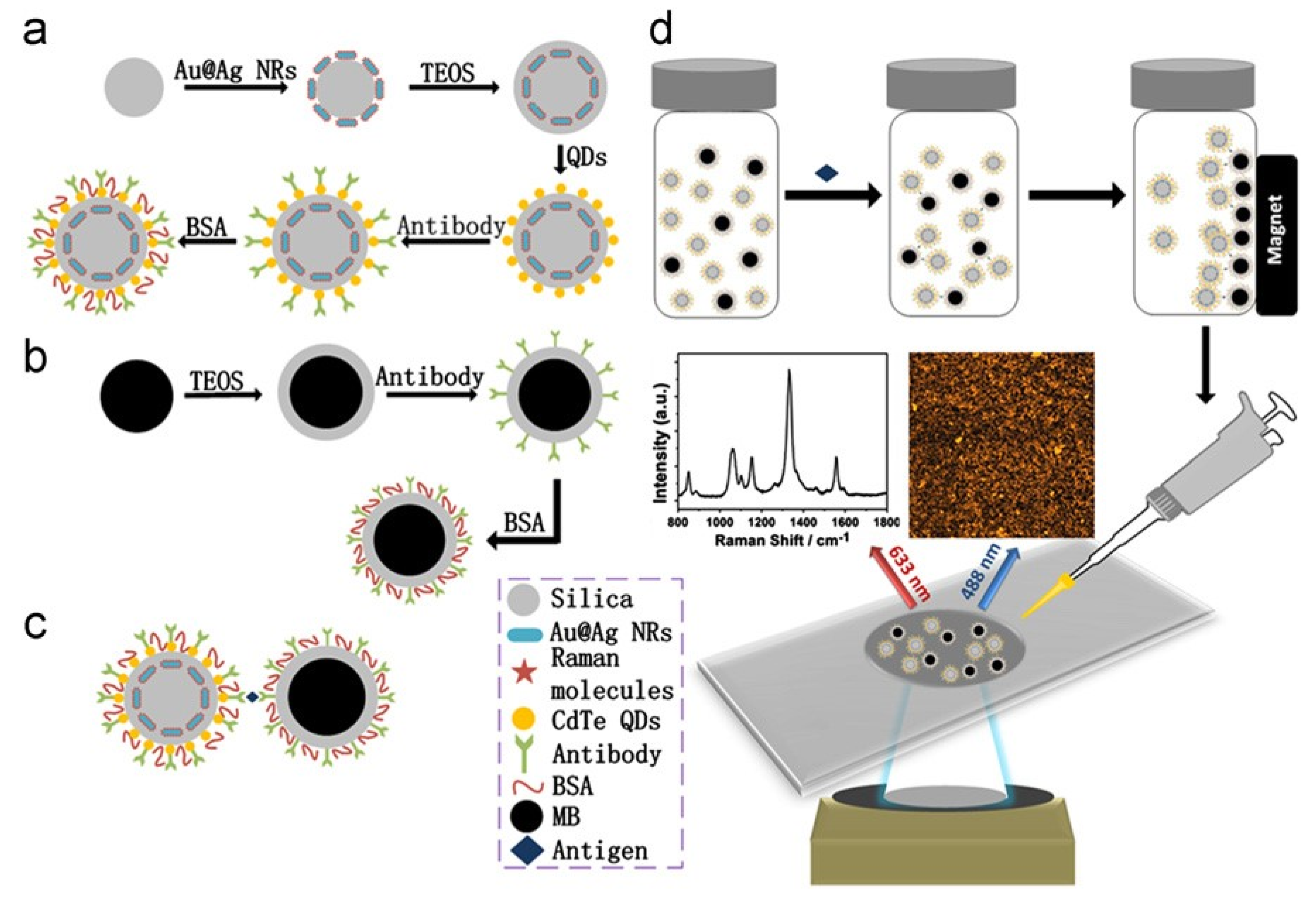 Magnetochemistry 05 00059 g004 Magnetochemistry 05 00059 g004