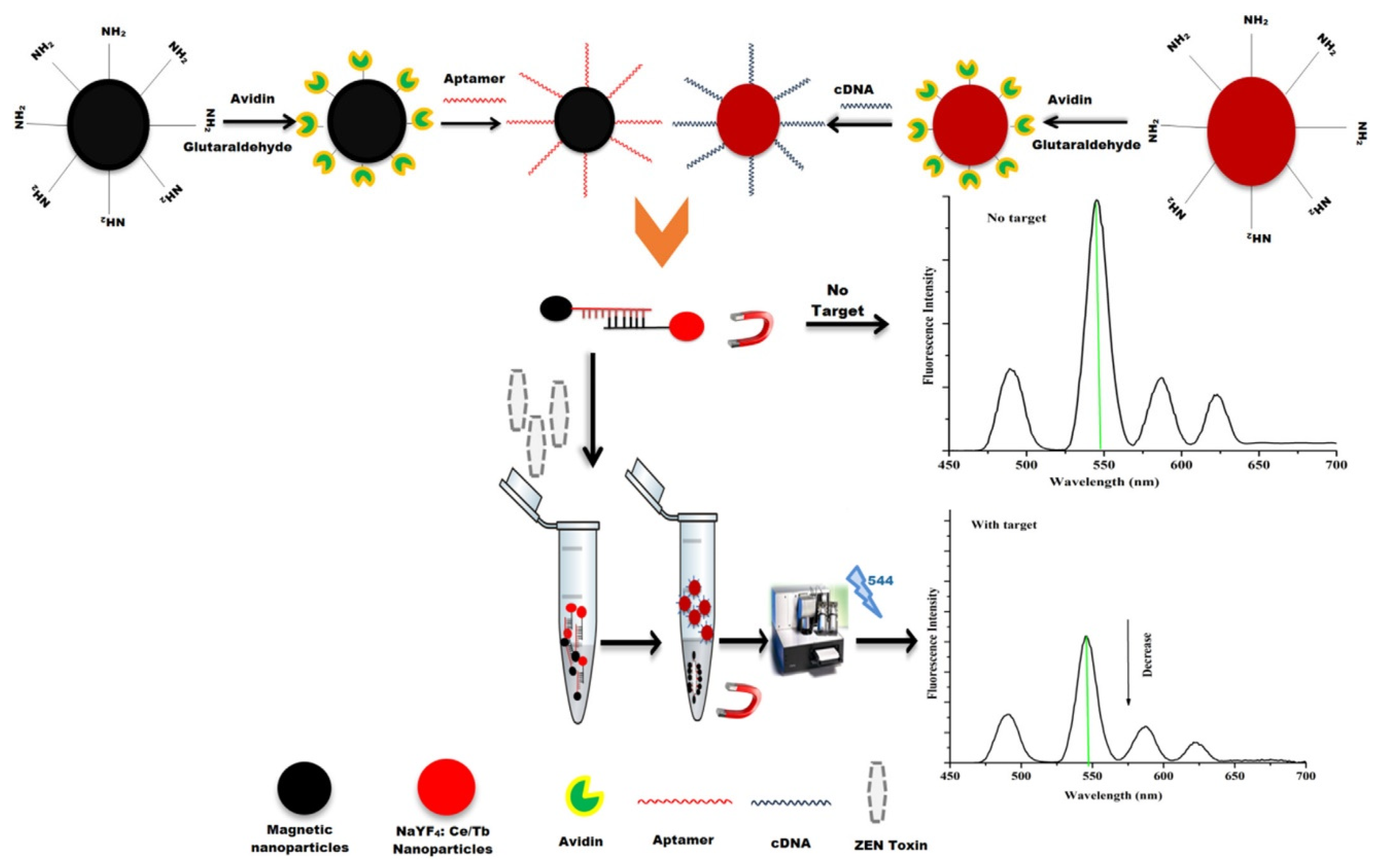 Magnetochemistry 05 00059 g005 Magnetochemistry 05 00059 g005