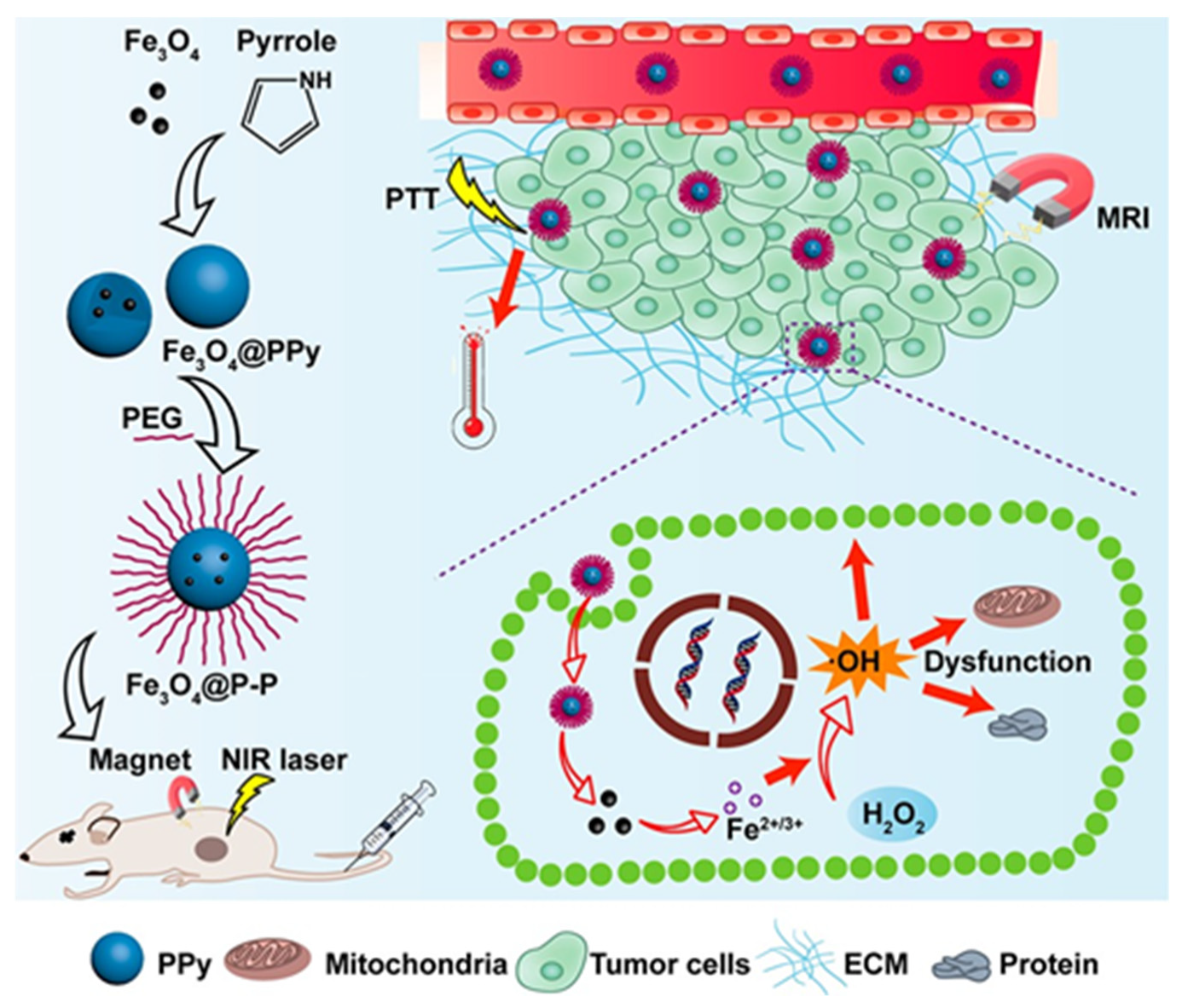 Magnetochemistry 05 00059 g006 Magnetochemistry 05 00059 g006
