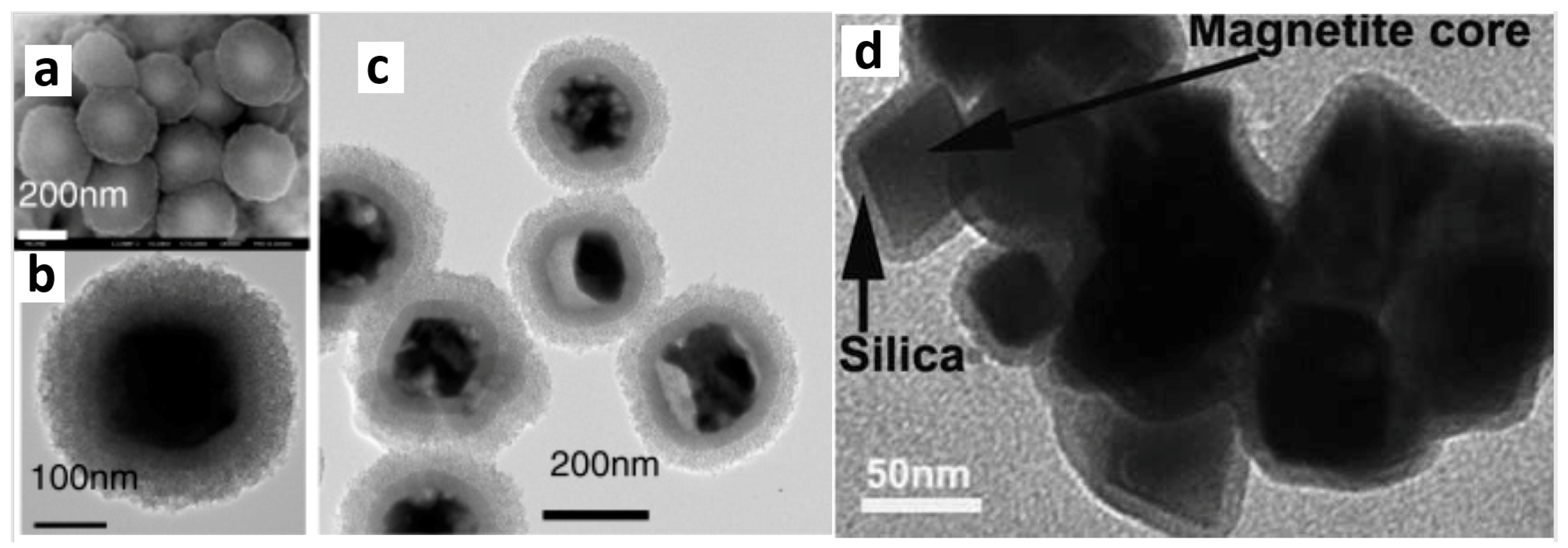 Magnetochemistry 05 00061 g002 Magnetochemistry 05 00061 g002