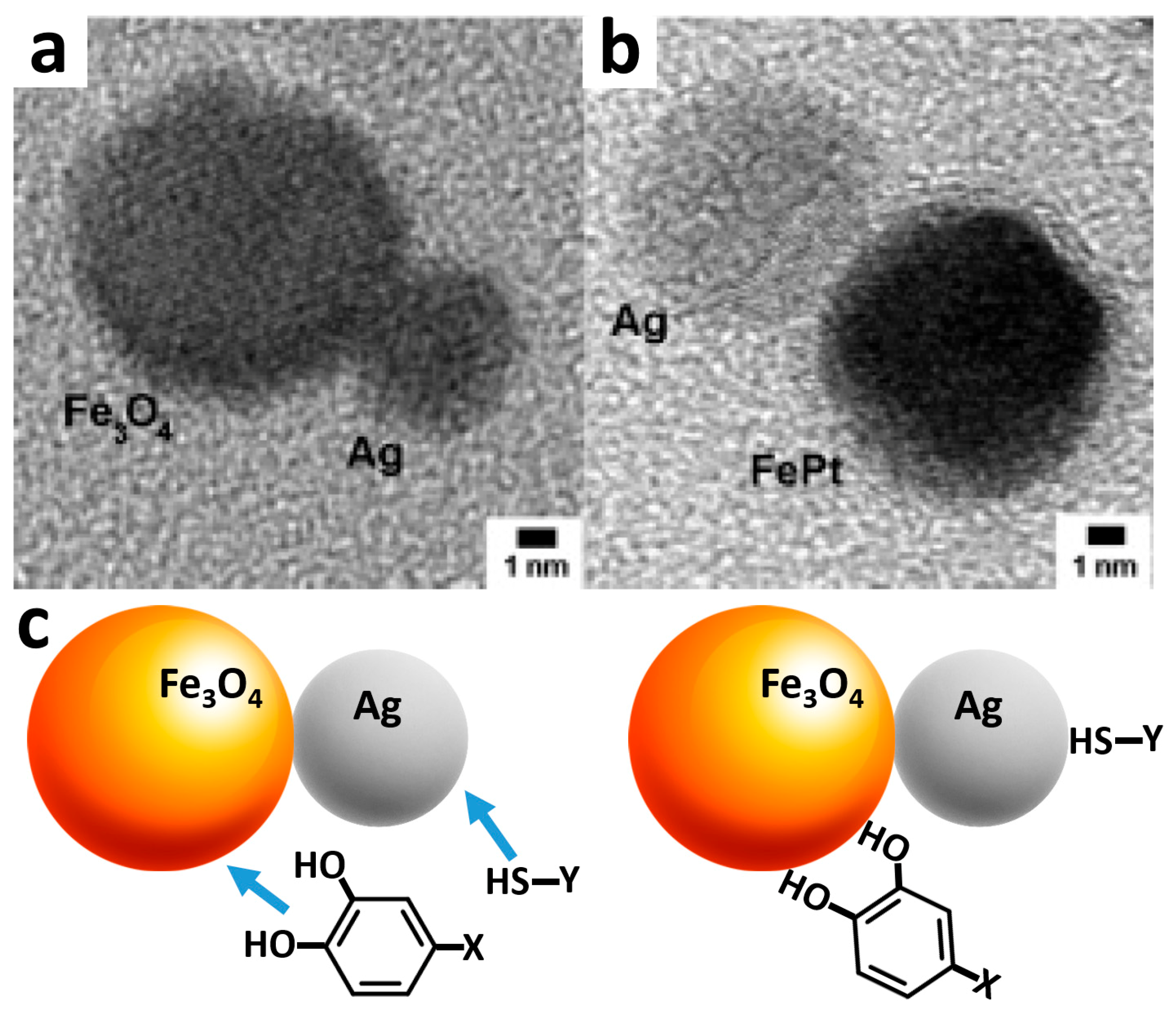 Magnetochemistry 05 00061 g003 Magnetochemistry 05 00061 g003