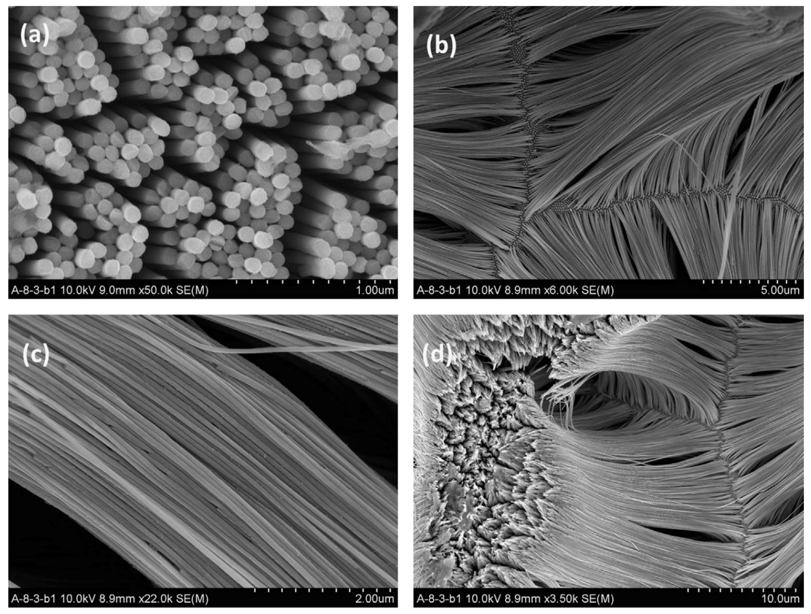 Magnetochemistry 05 00061 g006 Magnetochemistry 05 00061 g006