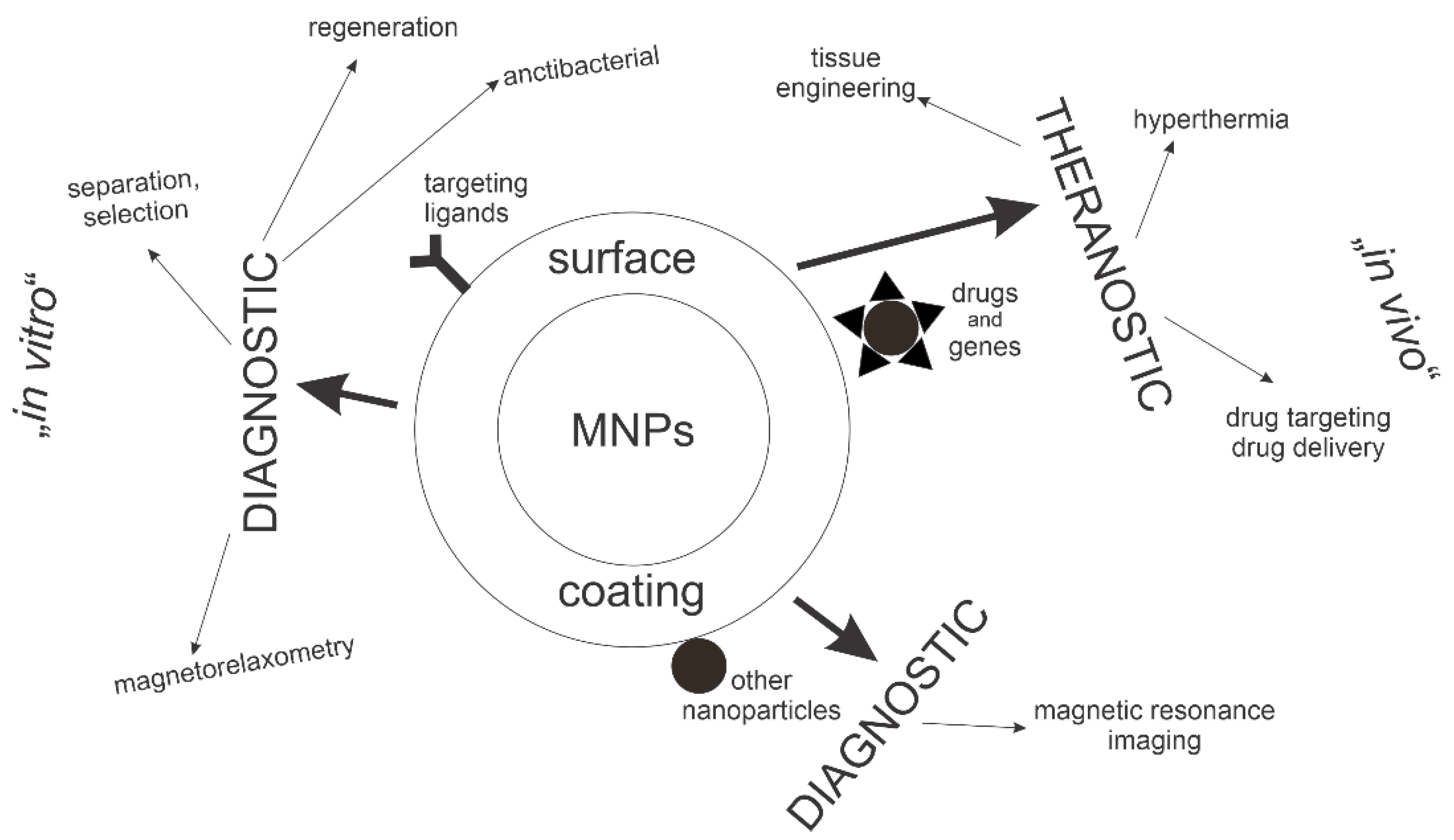 Magnetochemistry Free Full Text The Potential Biomedical