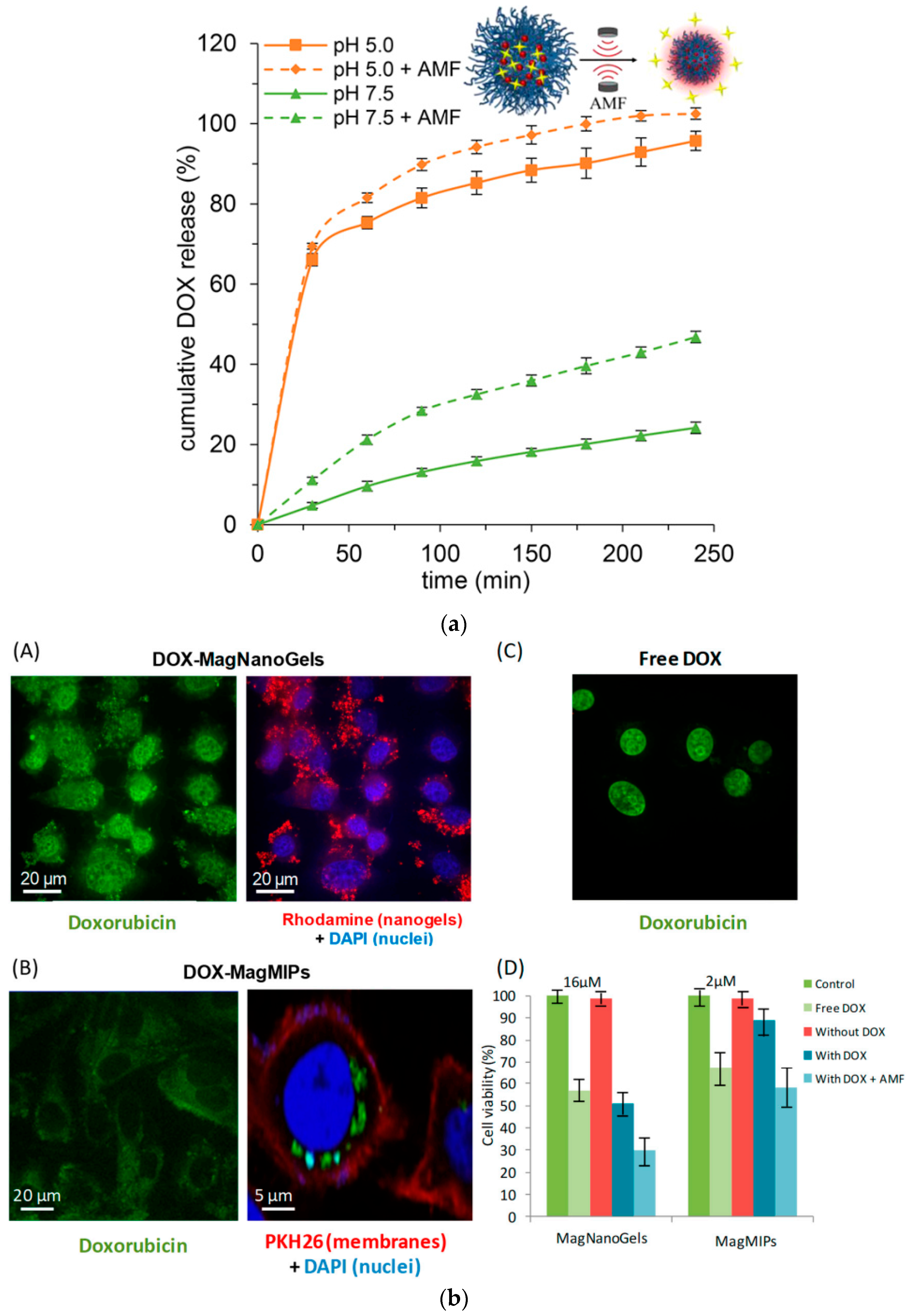 Magnetochemistry 05 00067 g005 Magnetochemistry 05 00067 g005