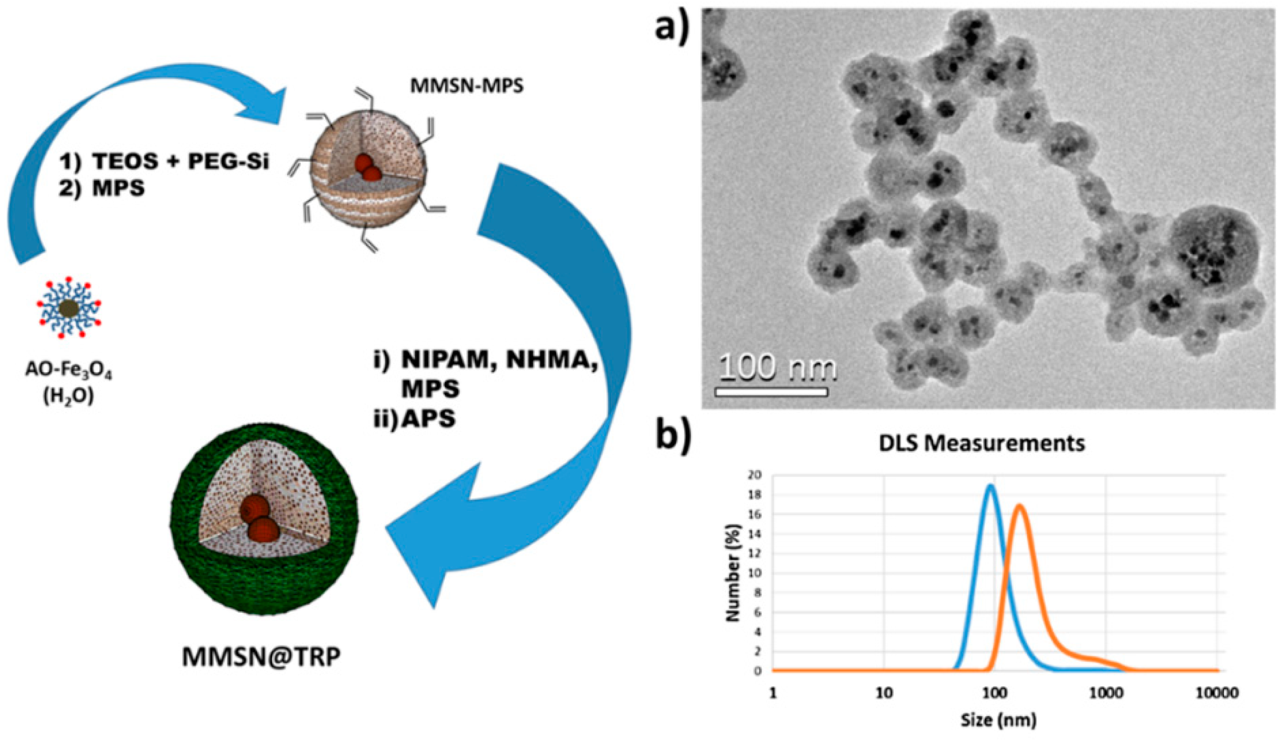 Magnetochemistry 05 00067 g007 Magnetochemistry 05 00067 g007