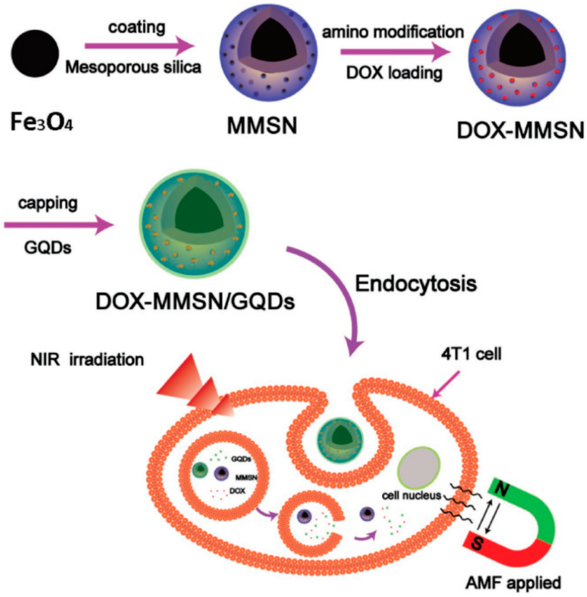Magnetochemistry 05 00067 g008 Magnetochemistry 05 00067 g008
