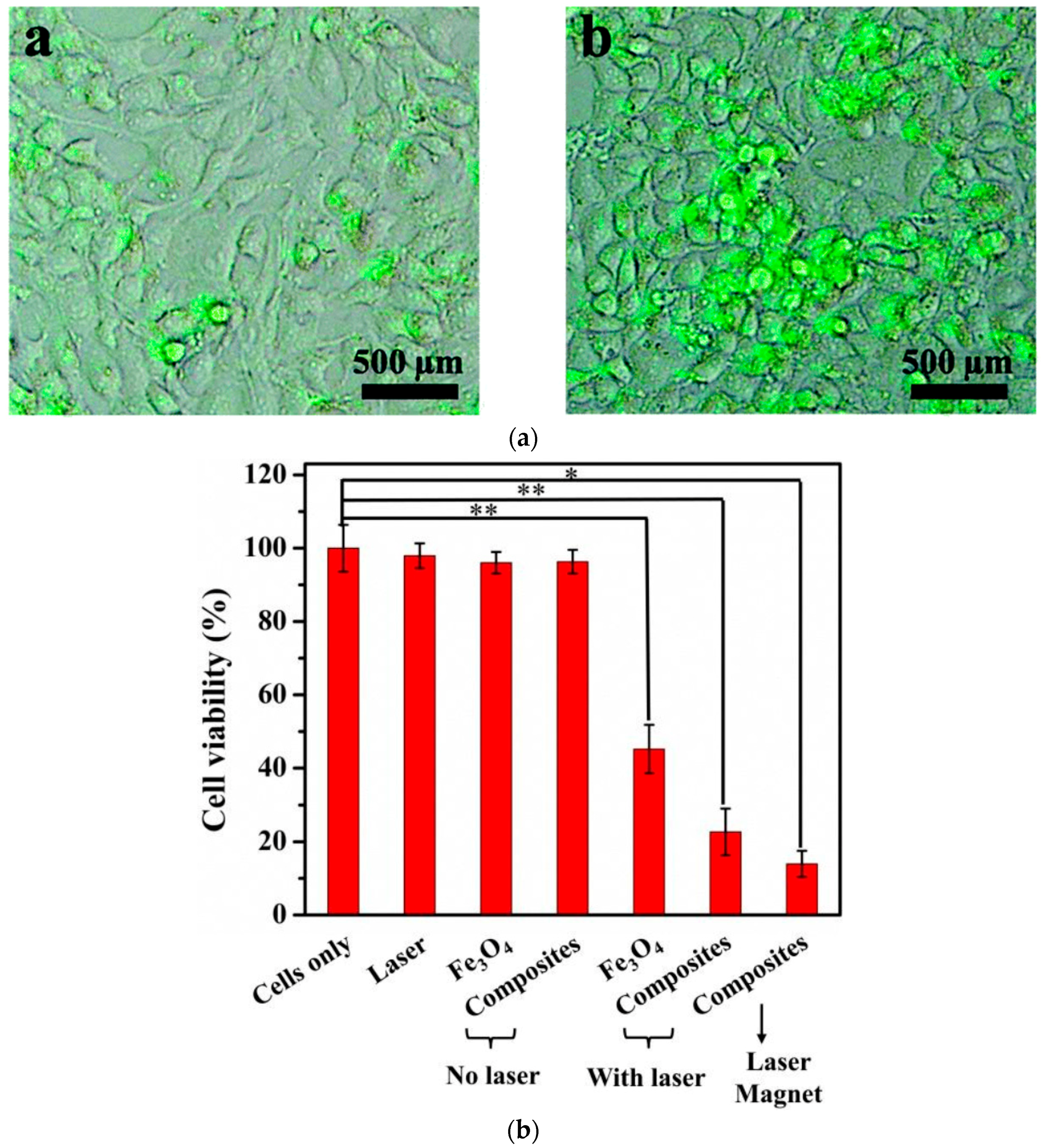 Magnetochemistry 05 00067 g011 Magnetochemistry 05 00067 g011