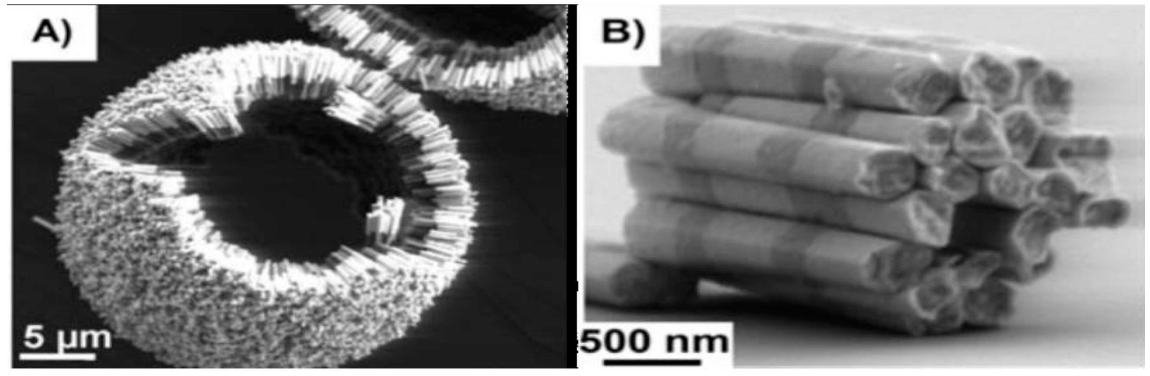 Magnetochemistry 05 00067 g020 Magnetochemistry 05 00067 g020