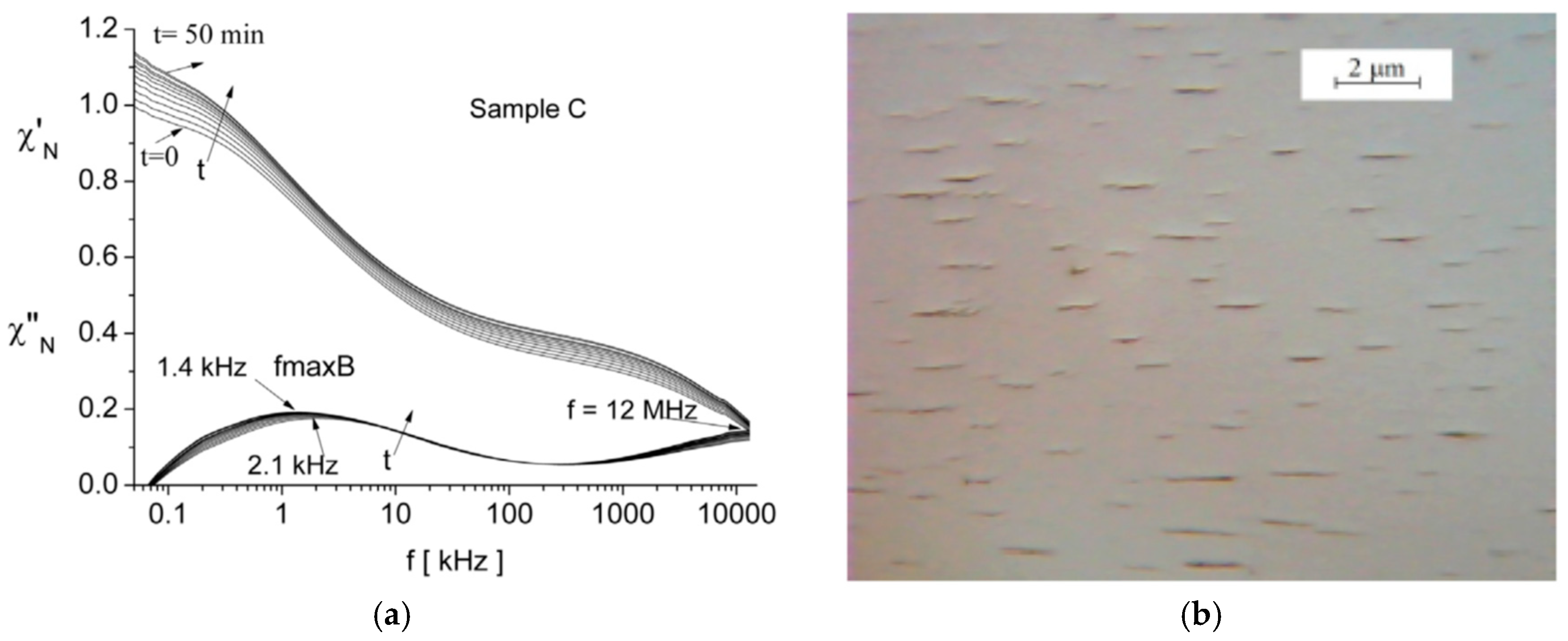Magnetochemistry 06 00002 g011