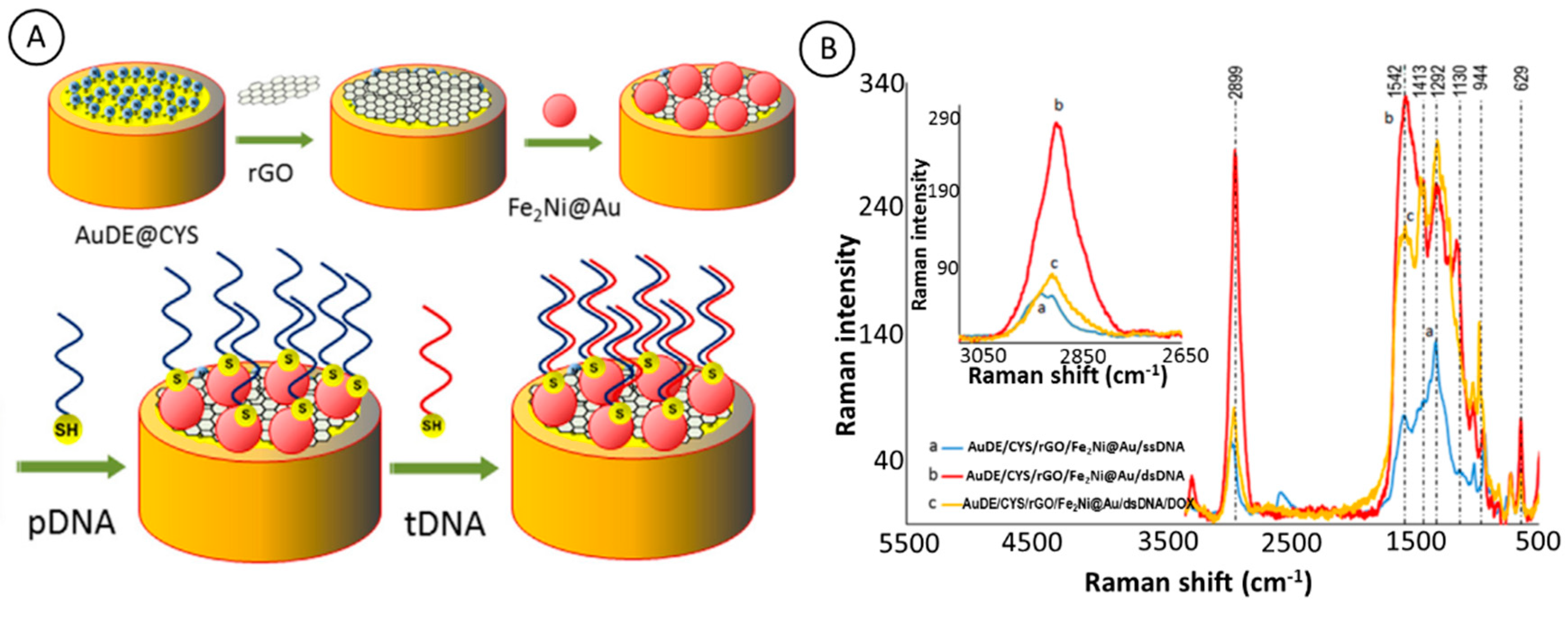 Magnetochemistry 06 00003 g001