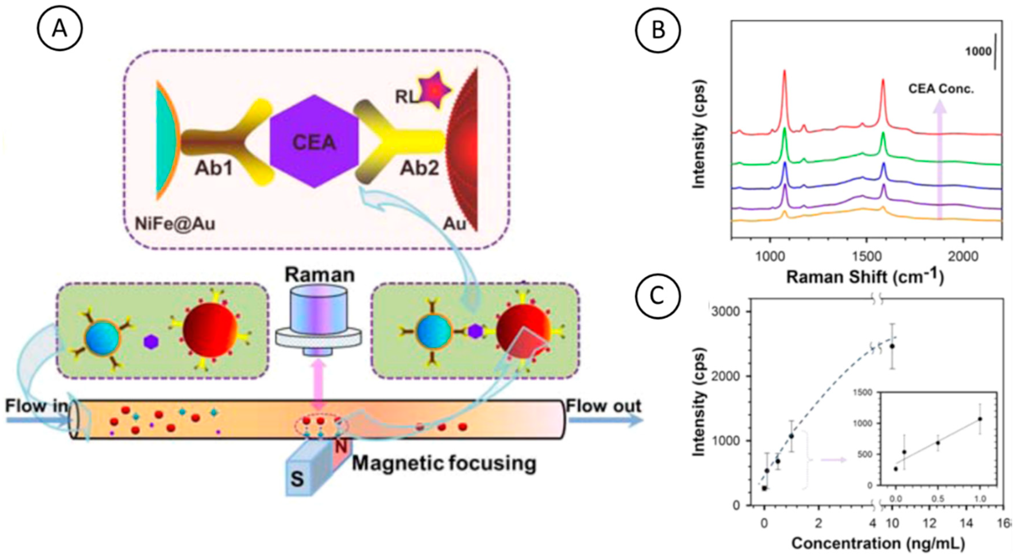 Magnetochemistry 06 00003 g002