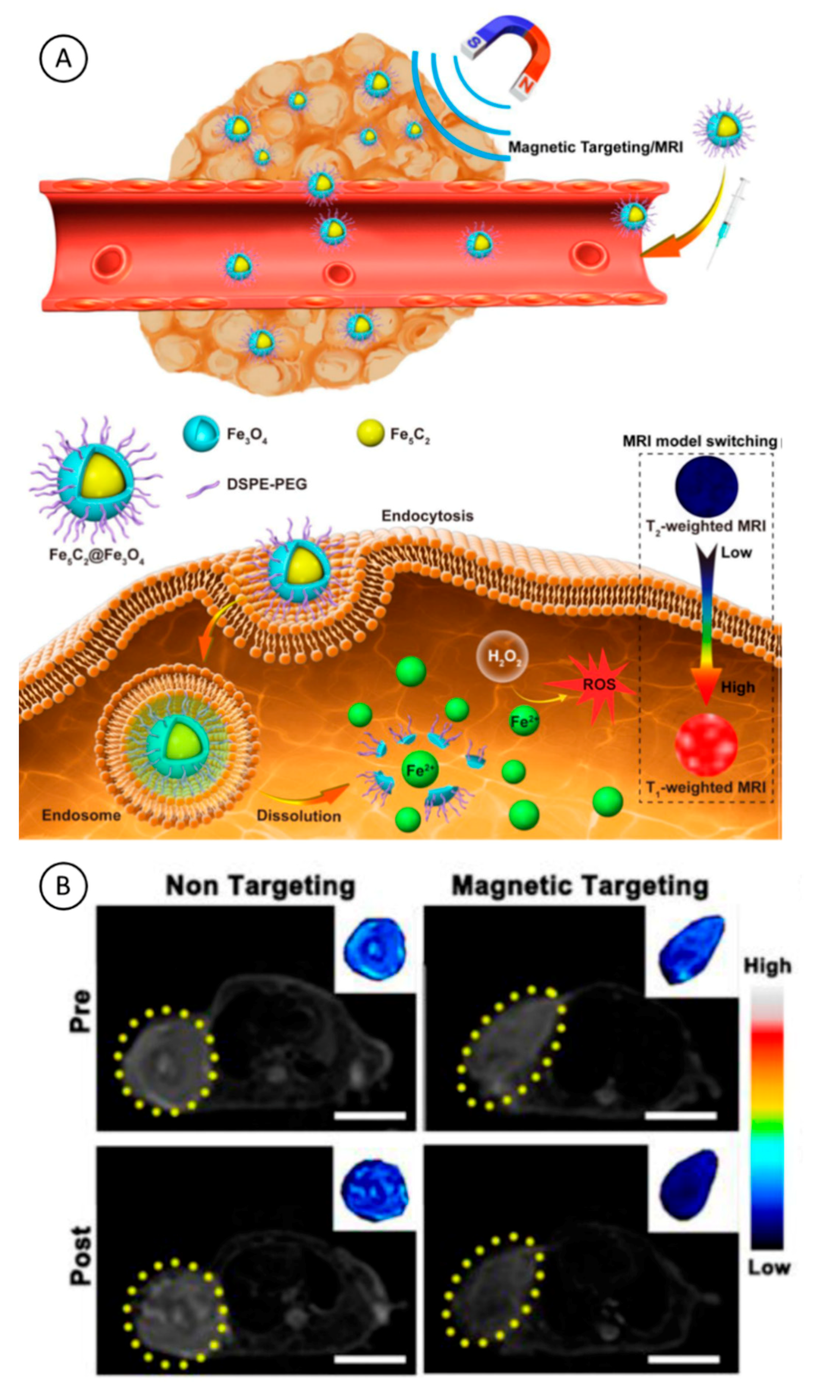 Magnetochemistry 06 00003 g004