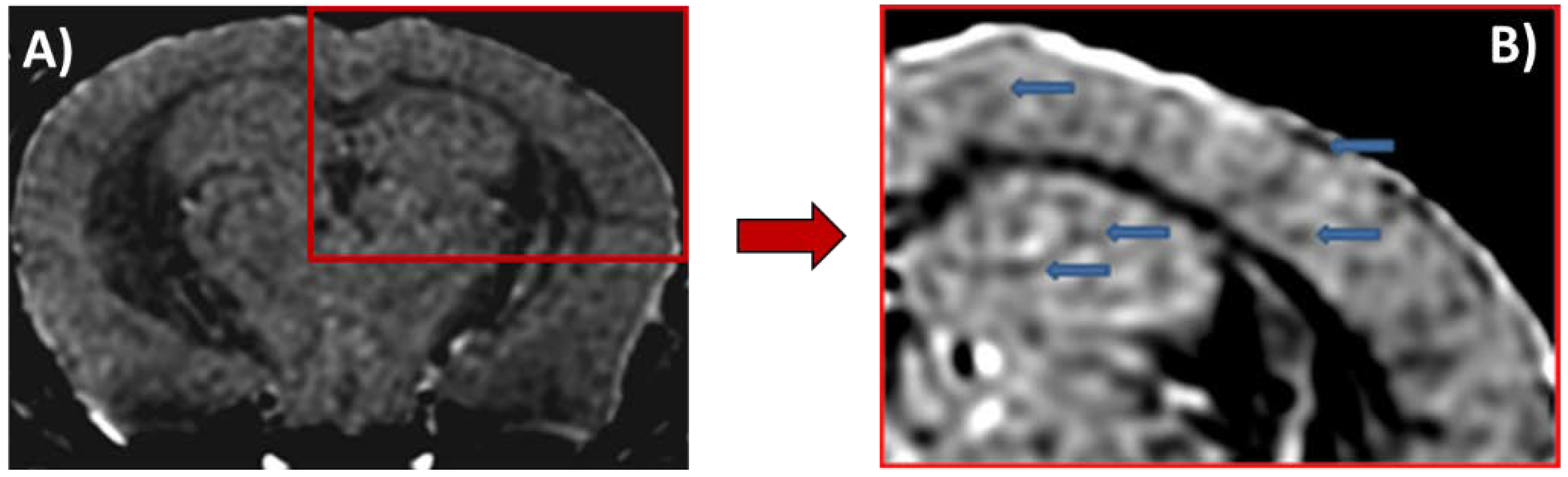 Magnetochemistry 06 00013 g003 Magnetochemistry 06 00013 g003