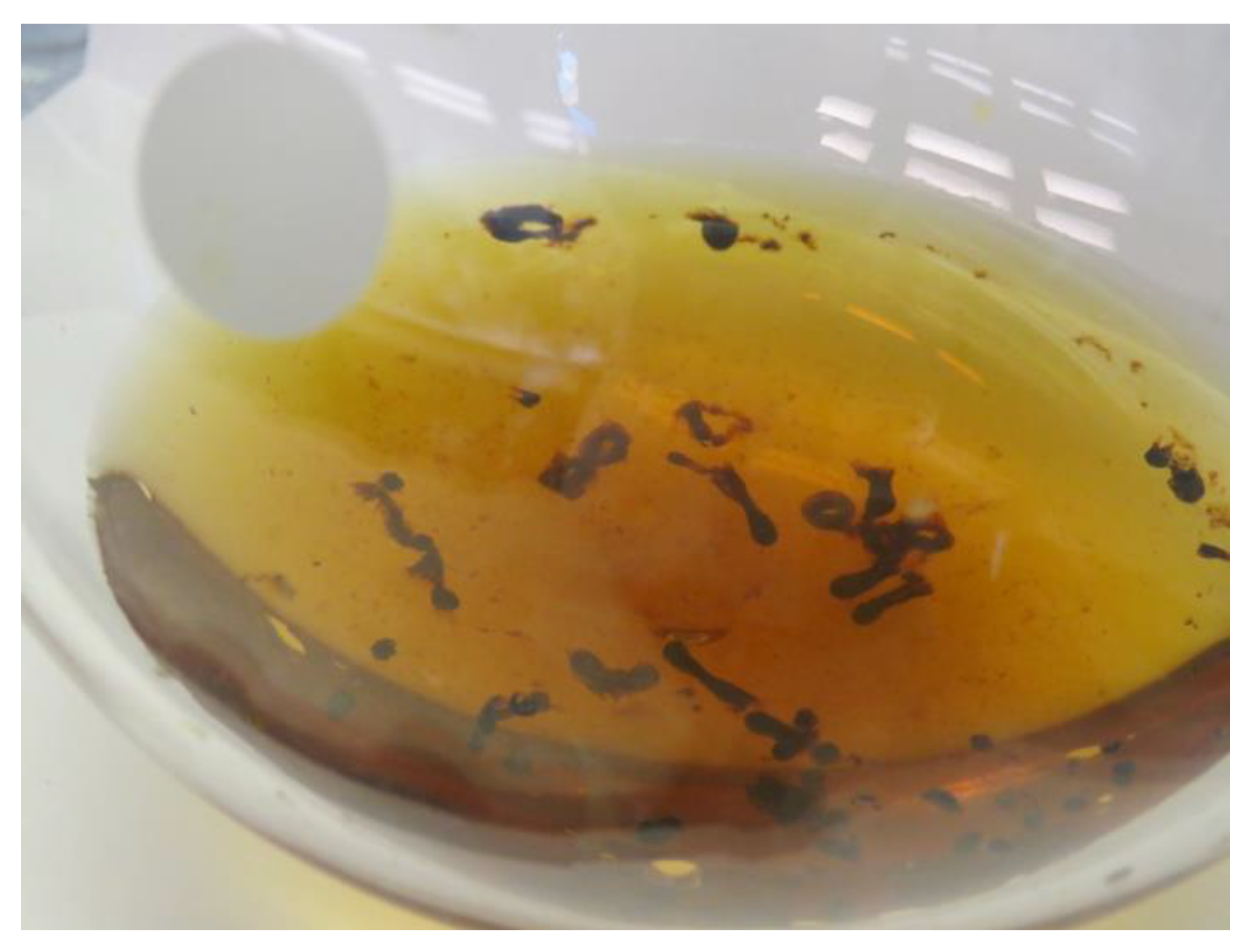 Magnetochemistry 06 00022 g005