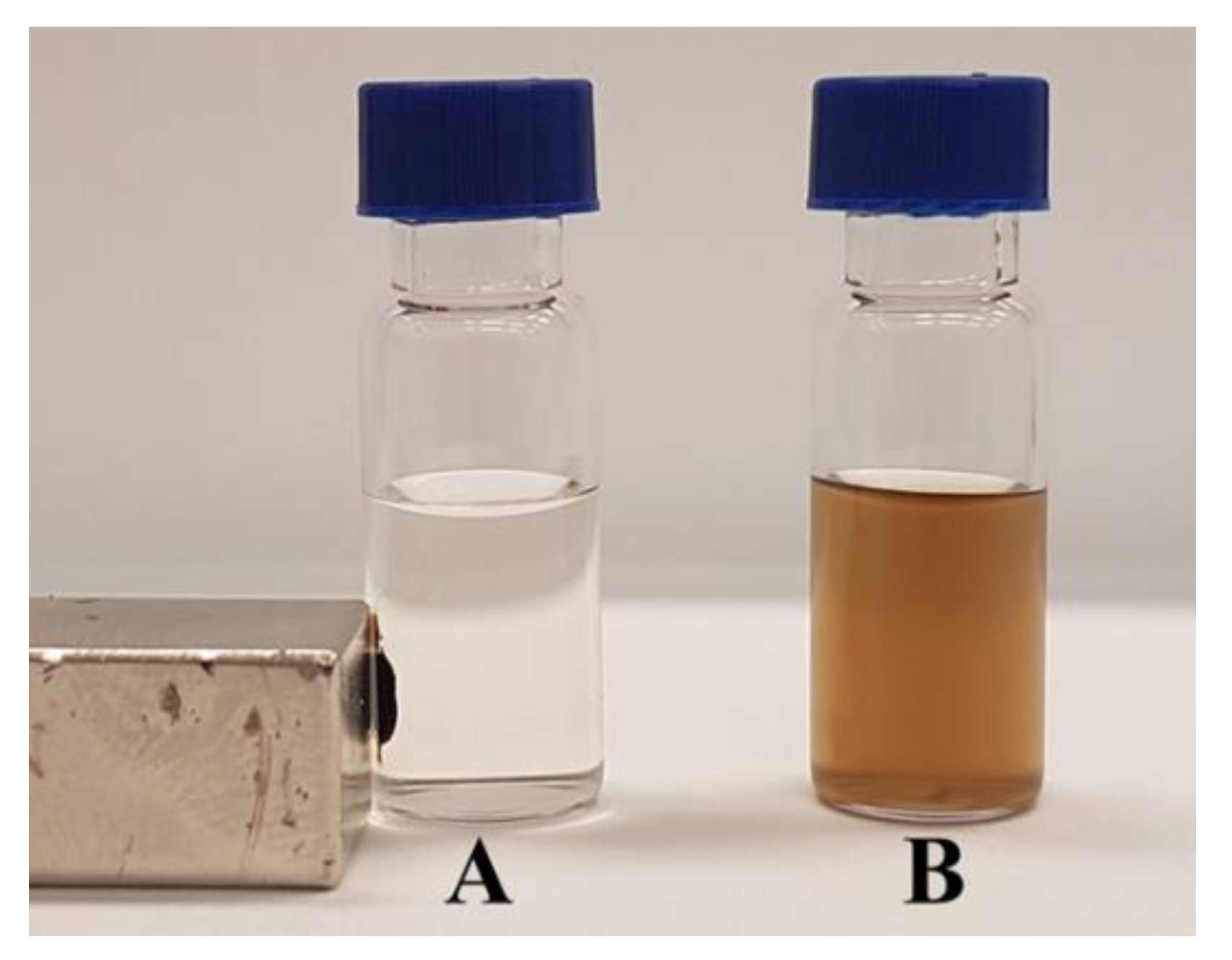 Magnetochemistry 06 00022 g009