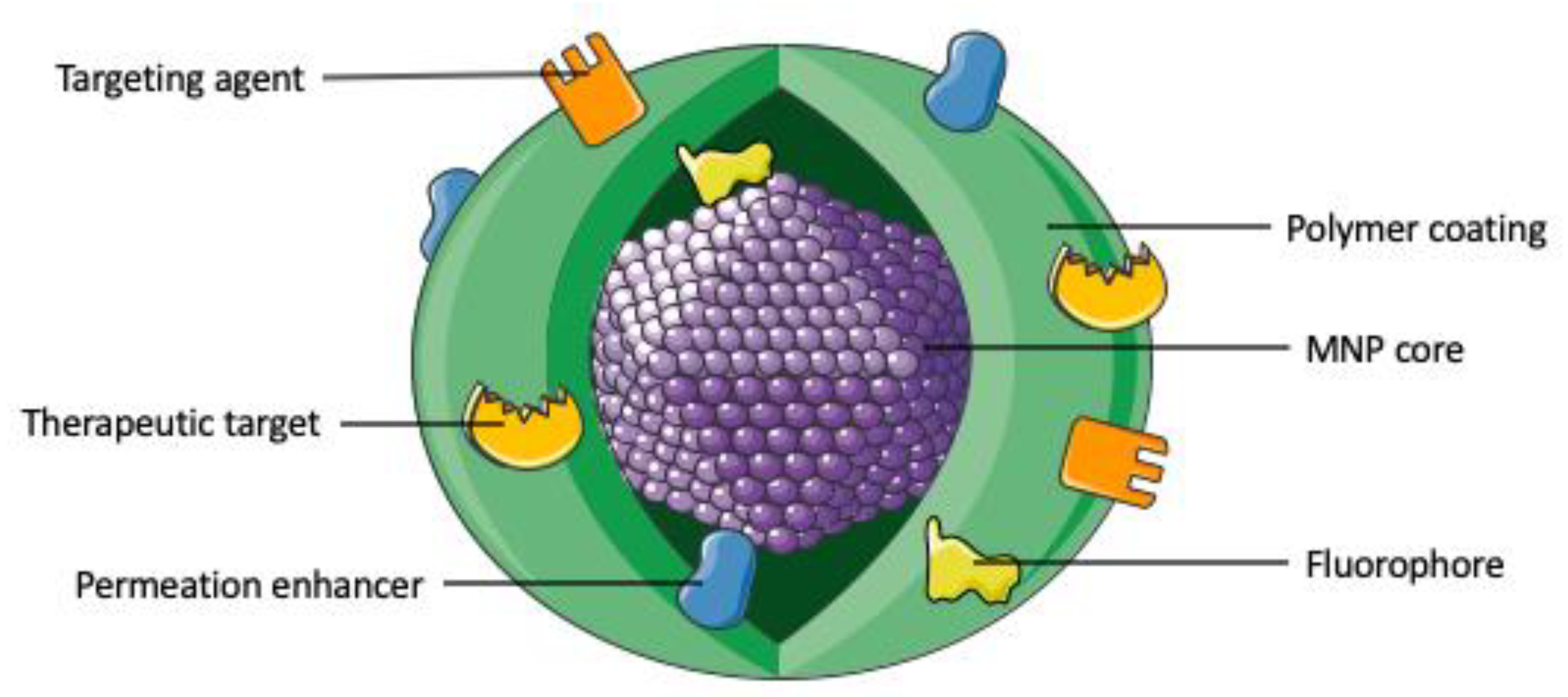 Magnetochemistry 06 00025 g002 Magnetochemistry 06 00025 g002