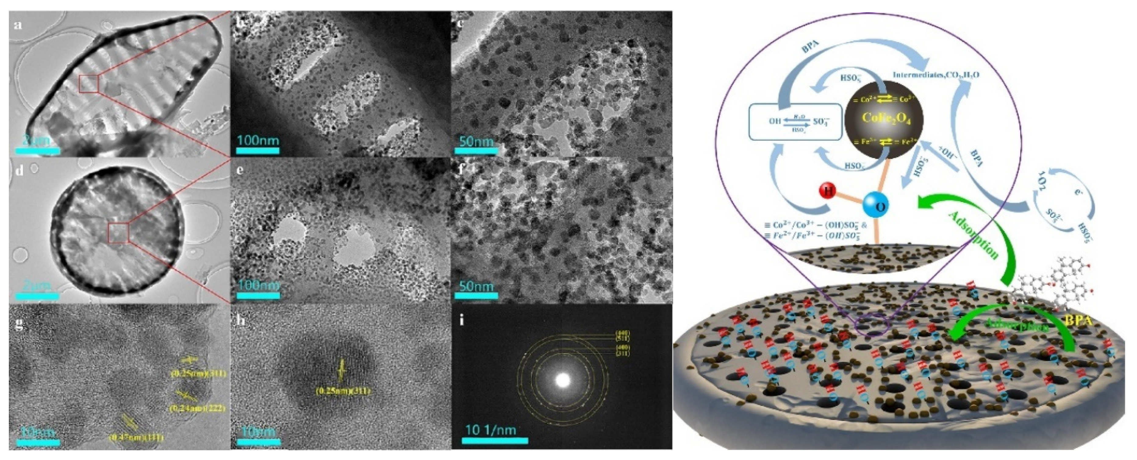 Magnetochemistry 06 00049 g003 Magnetochemistry 06 00049 g003