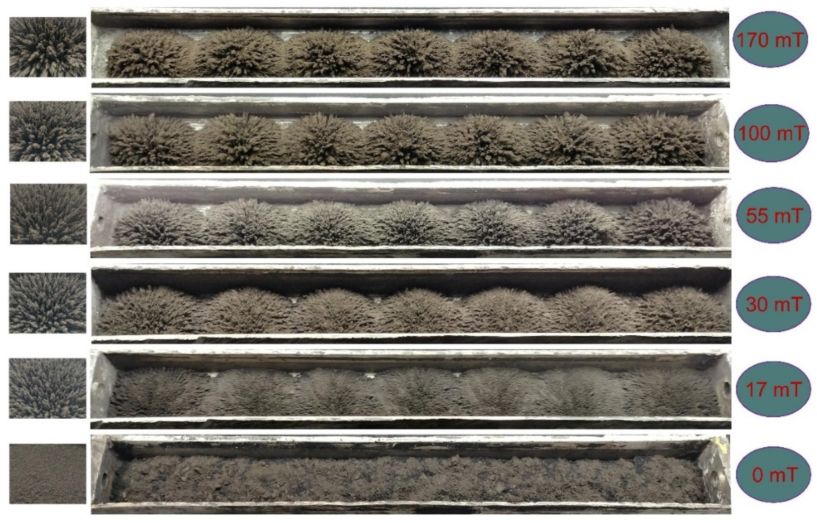 Magnetochemistry 06 00049 g007 Magnetochemistry 06 00049 g007