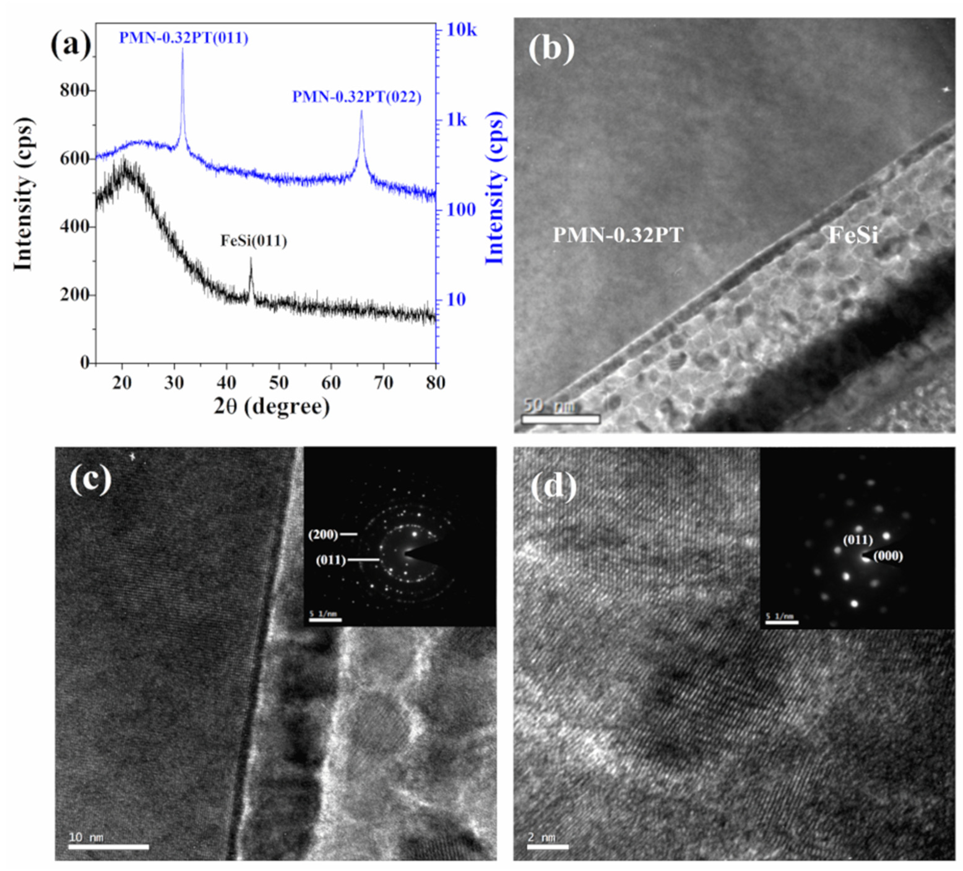 Magnetochemistry 06 00057 g002