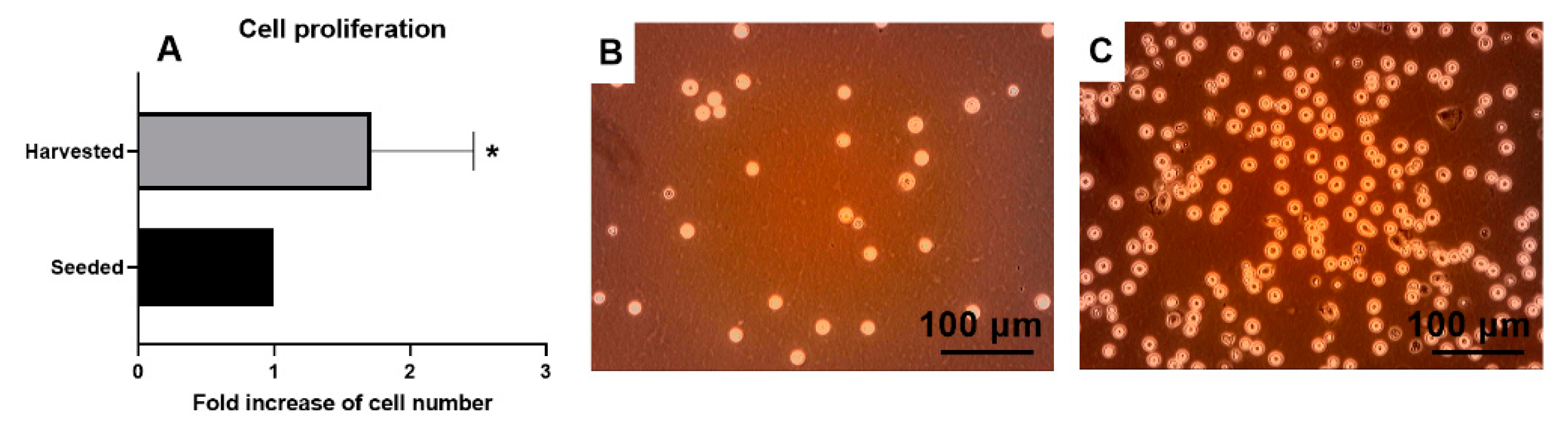 Magnetochemistry 07 00011 g003