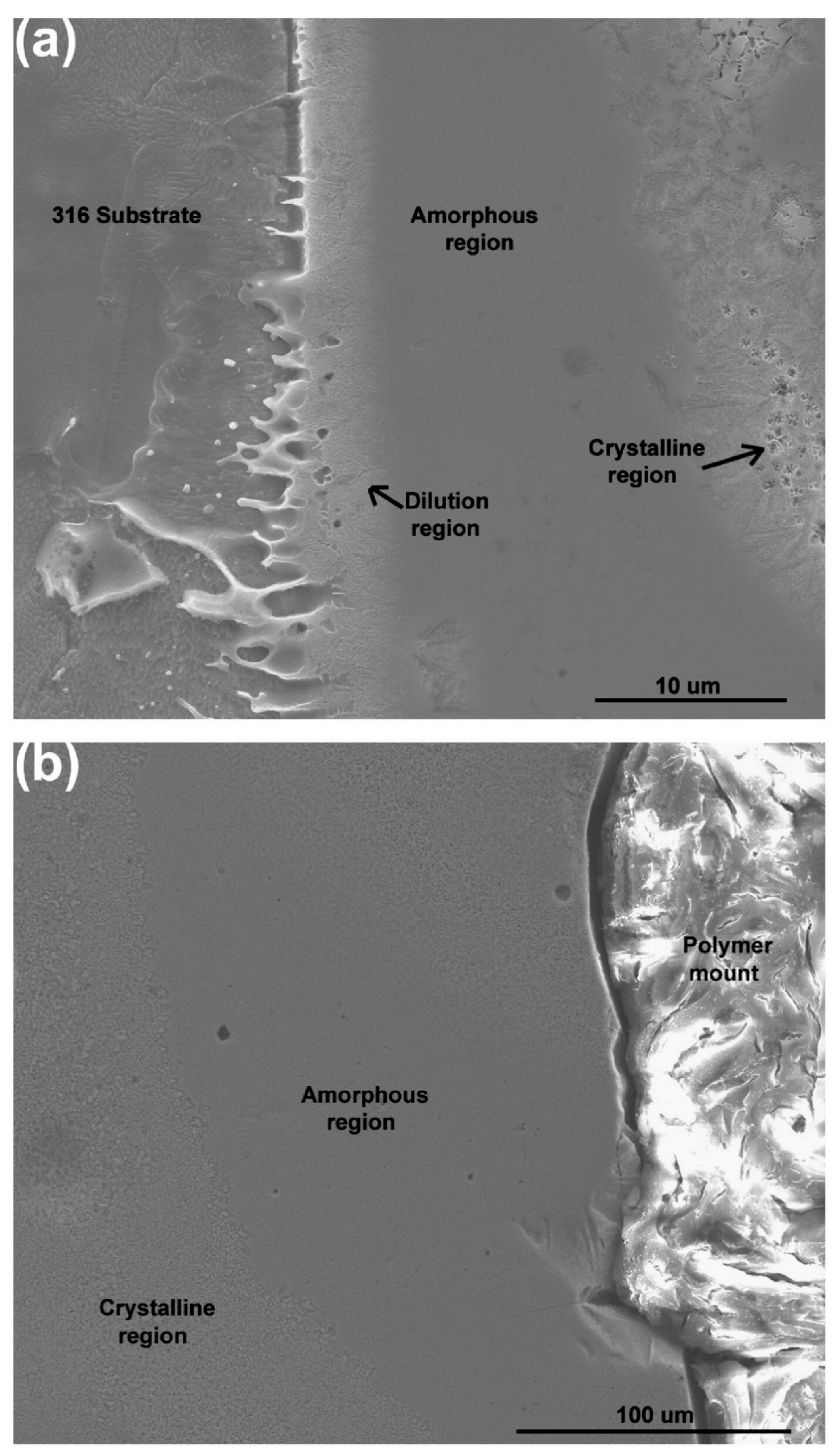Magnetochemistry 07 00020 g018