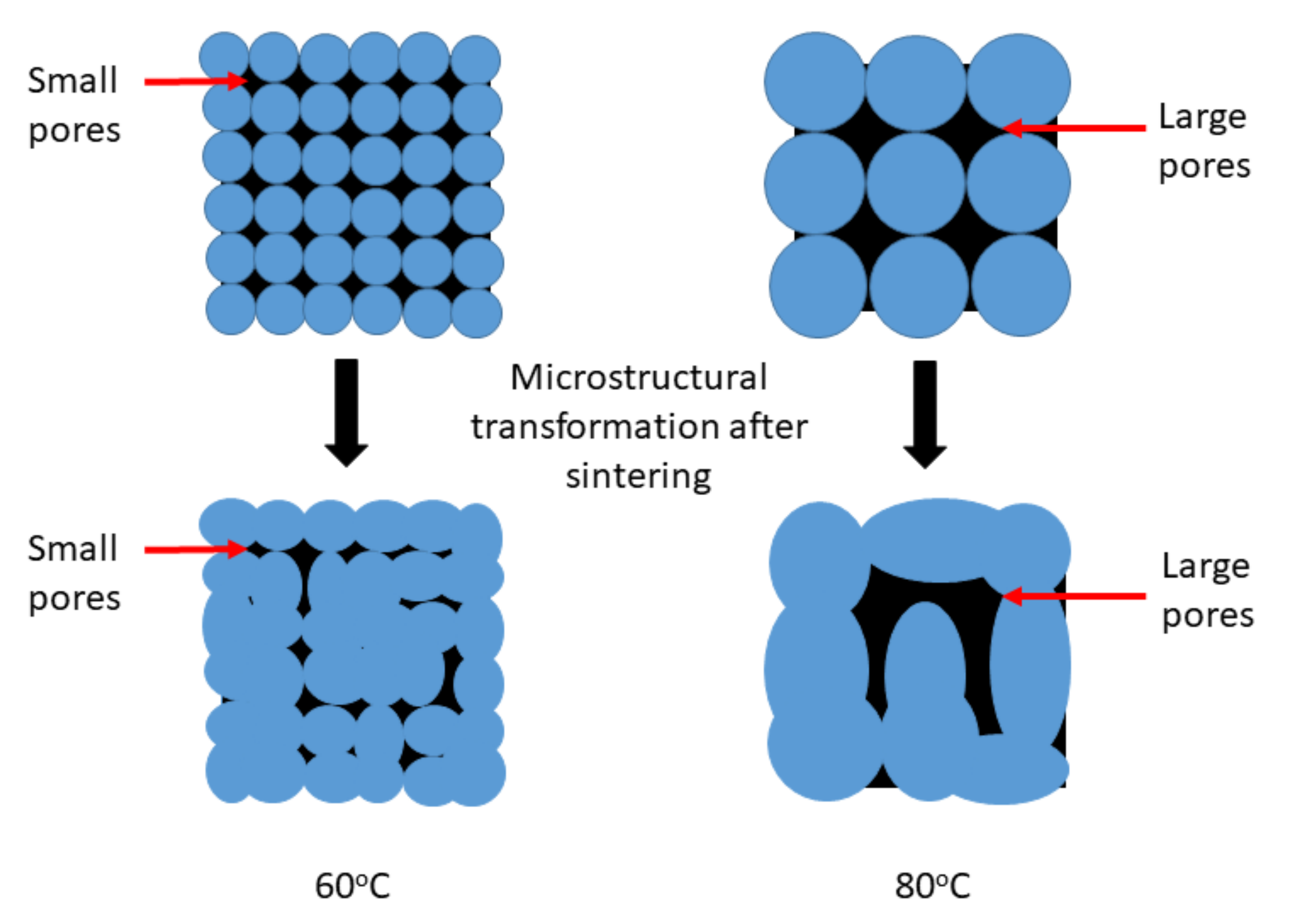 Magnetochemistry 07 00032 g010