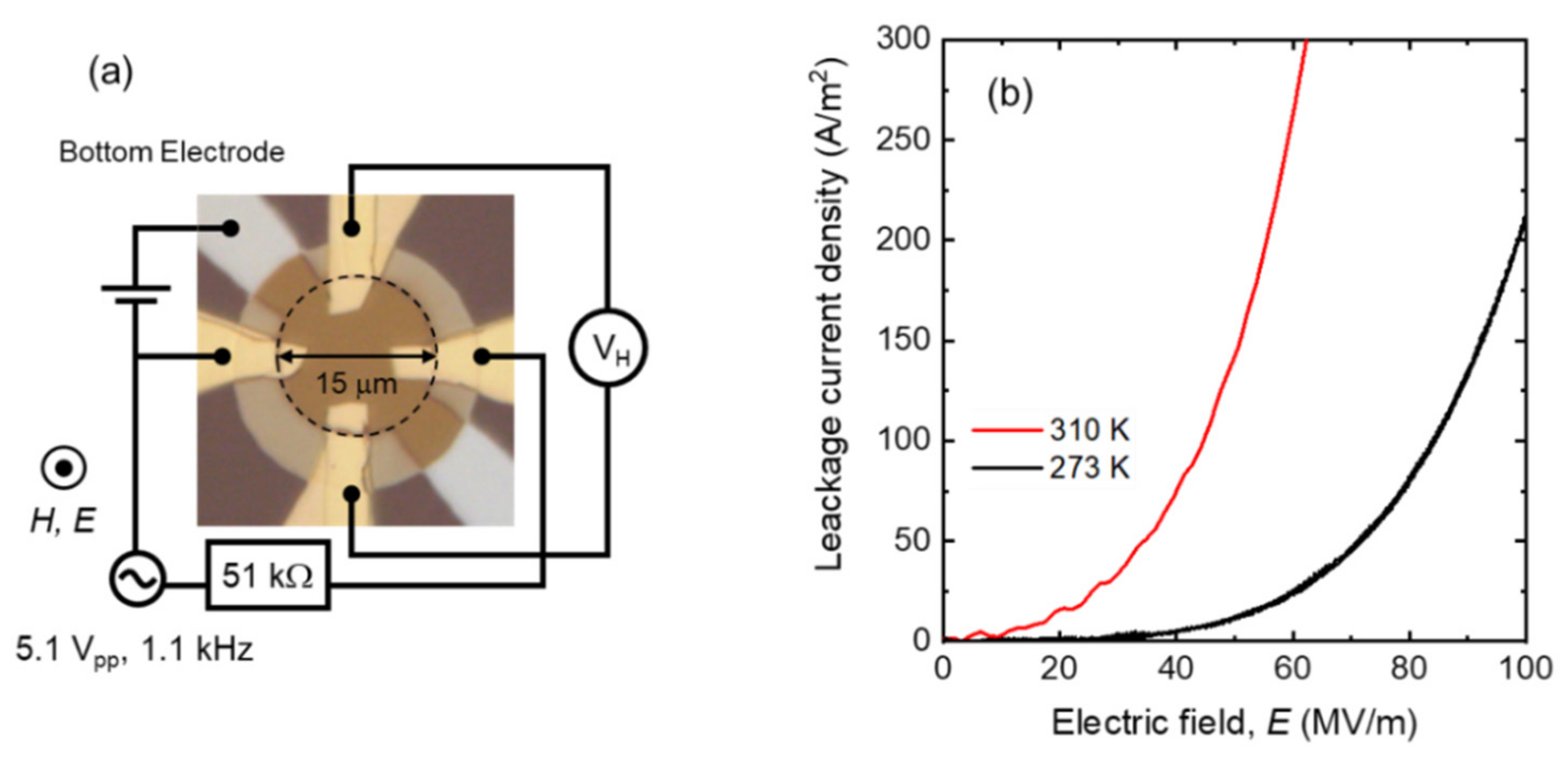 Magnetochemistry 07 00036 g003