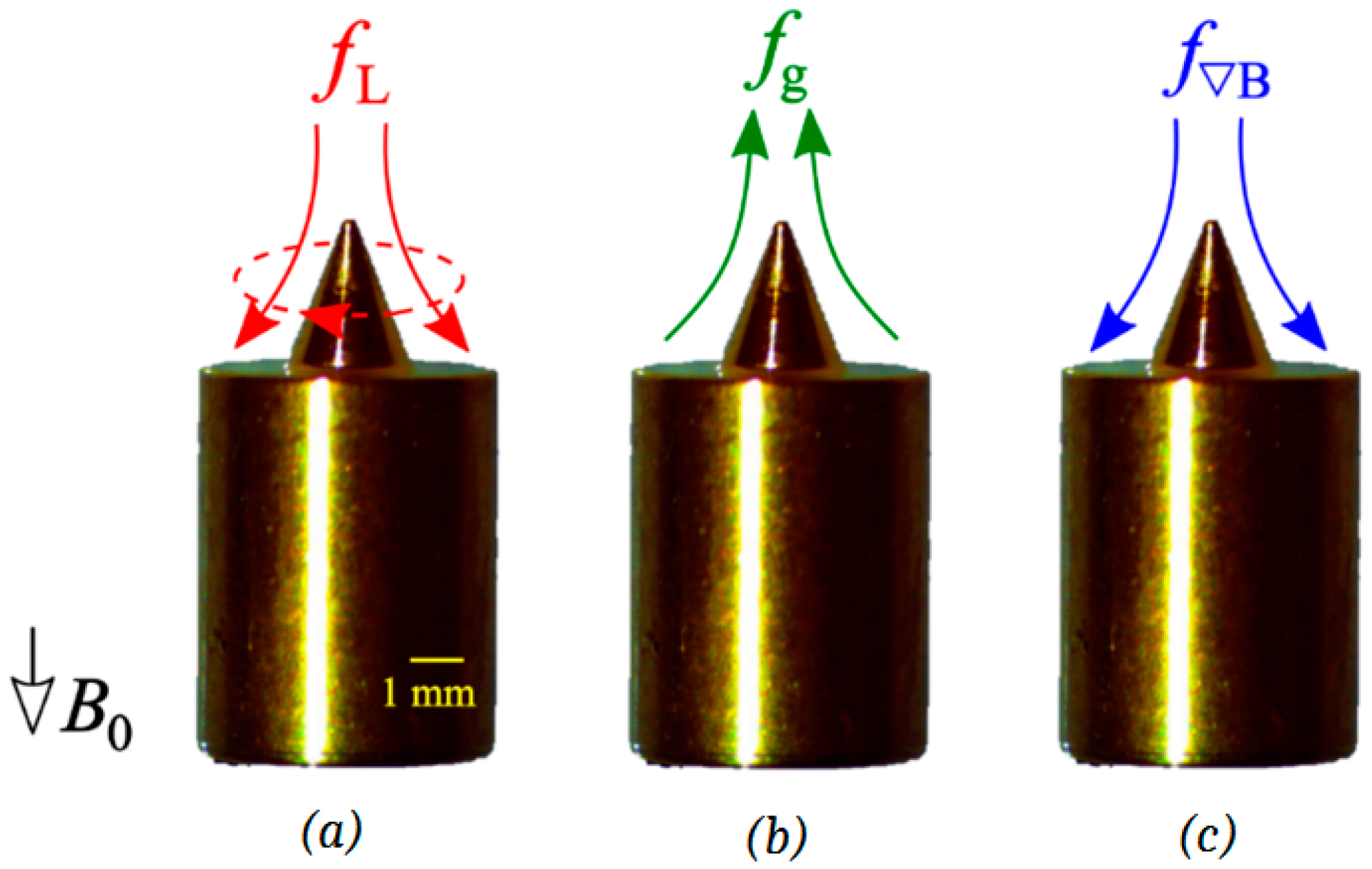 Magnetochemistry 07 00046 g001