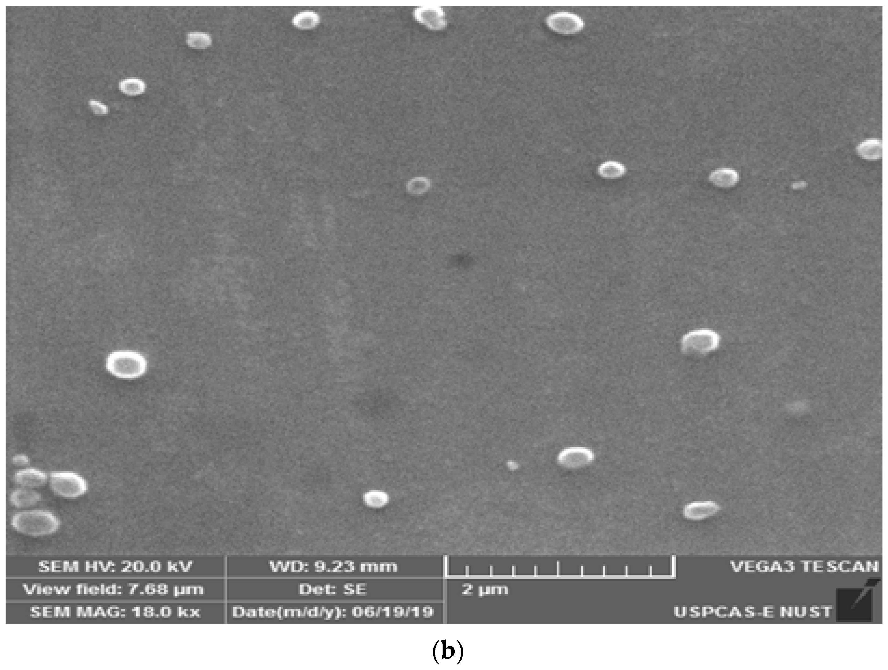 Magnetochemistry 07 00047 g004b Magnetochemistry 07 00047 g004b