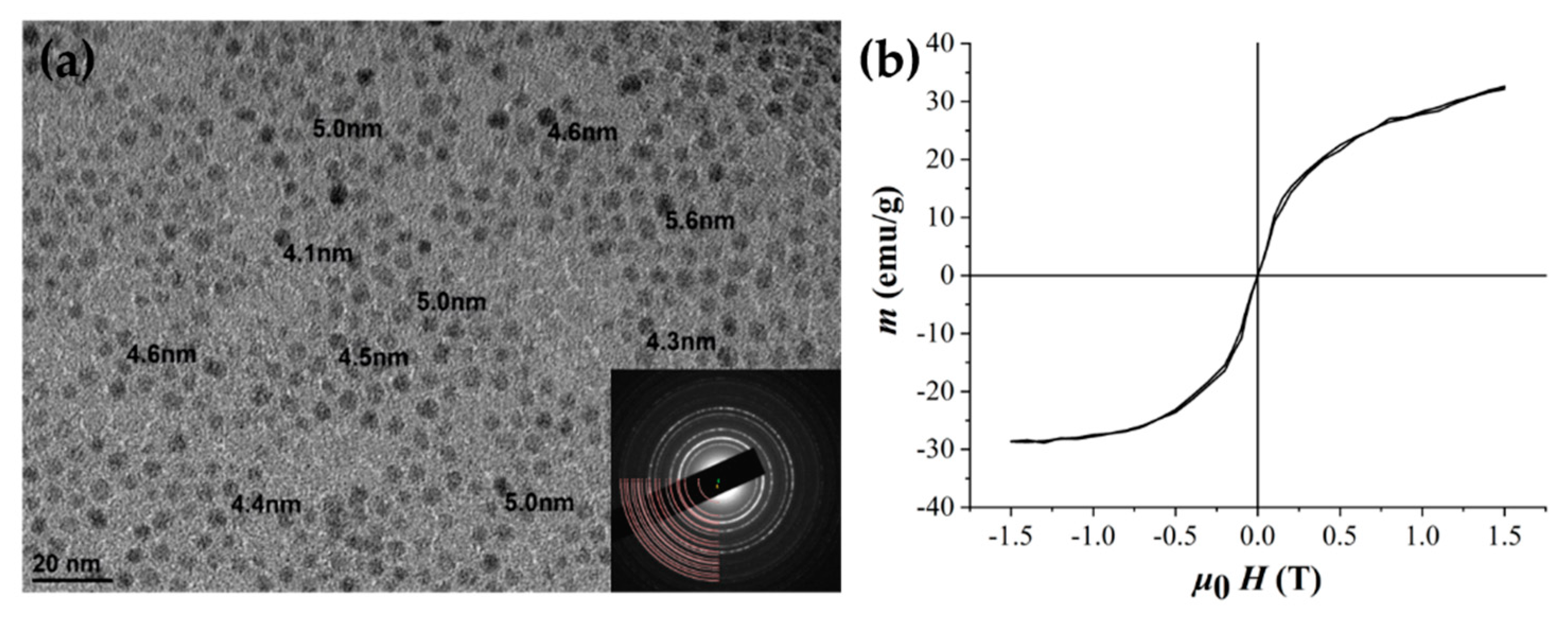 Magnetochemistry 07 00051 g001