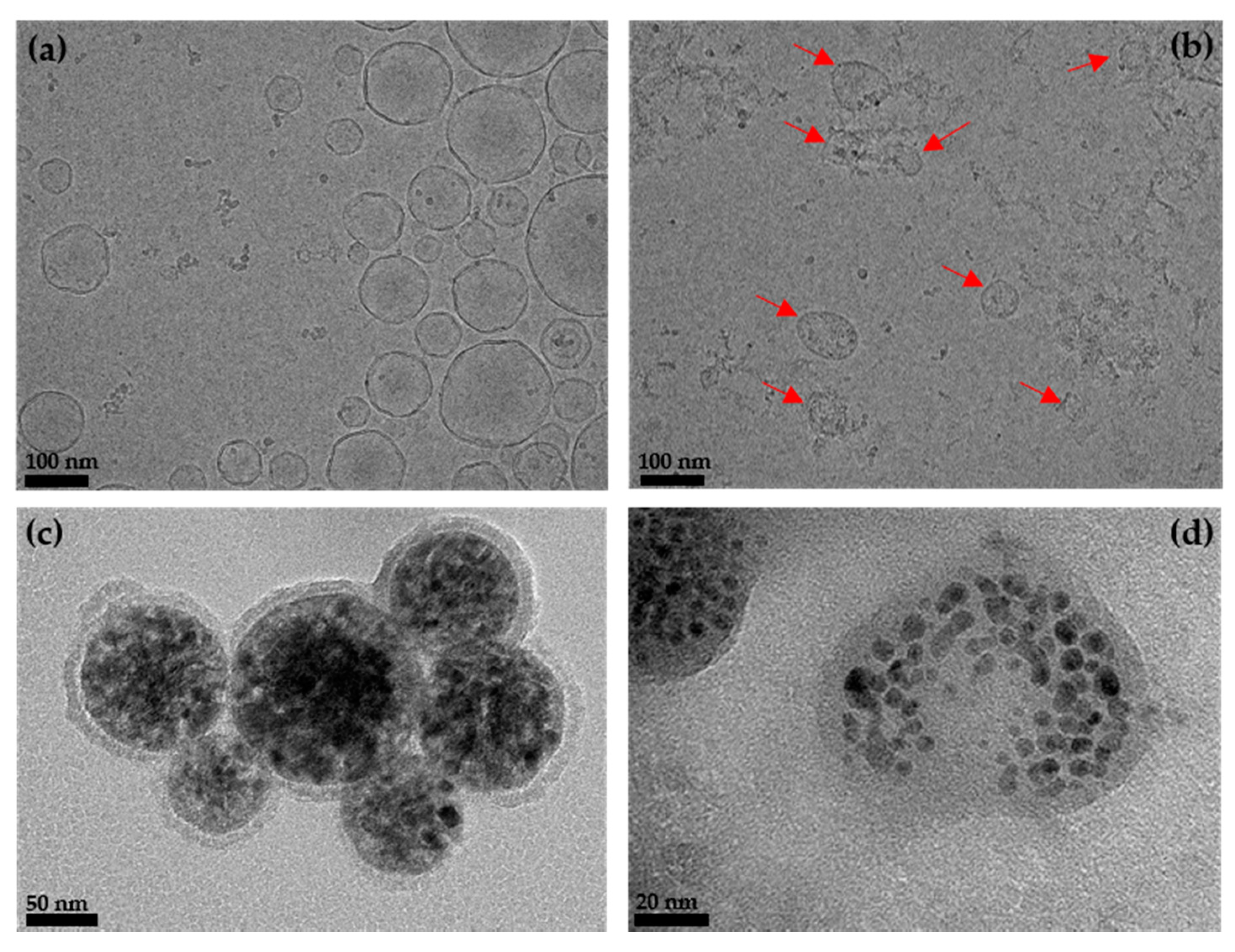 Magnetochemistry 07 00051 g002