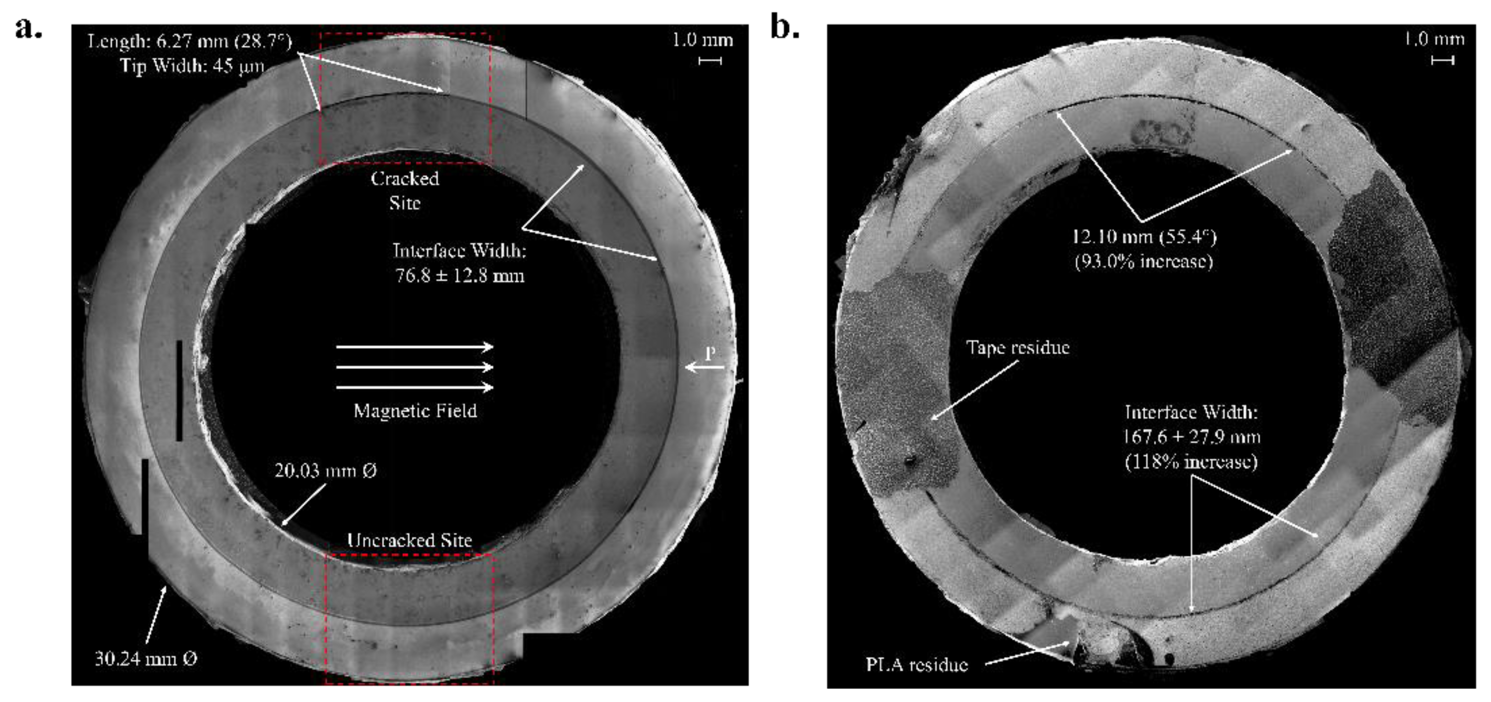 Magnetochemistry 07 00055 g004