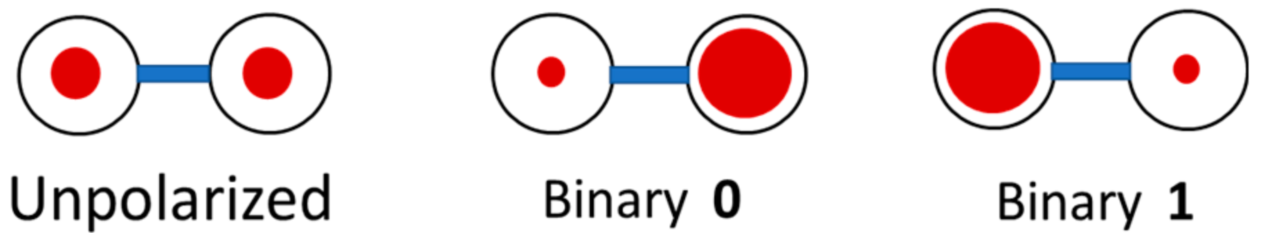 Magnetochemistry 07 00066 g001