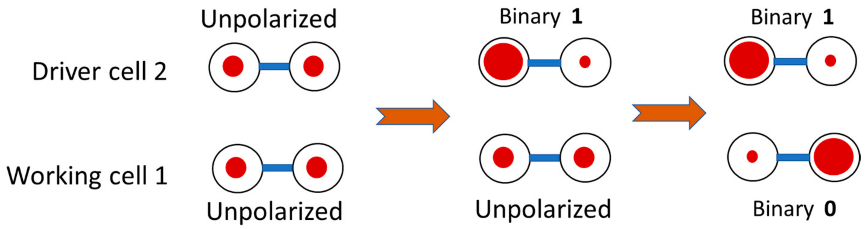 Magnetochemistry 07 00066 g002