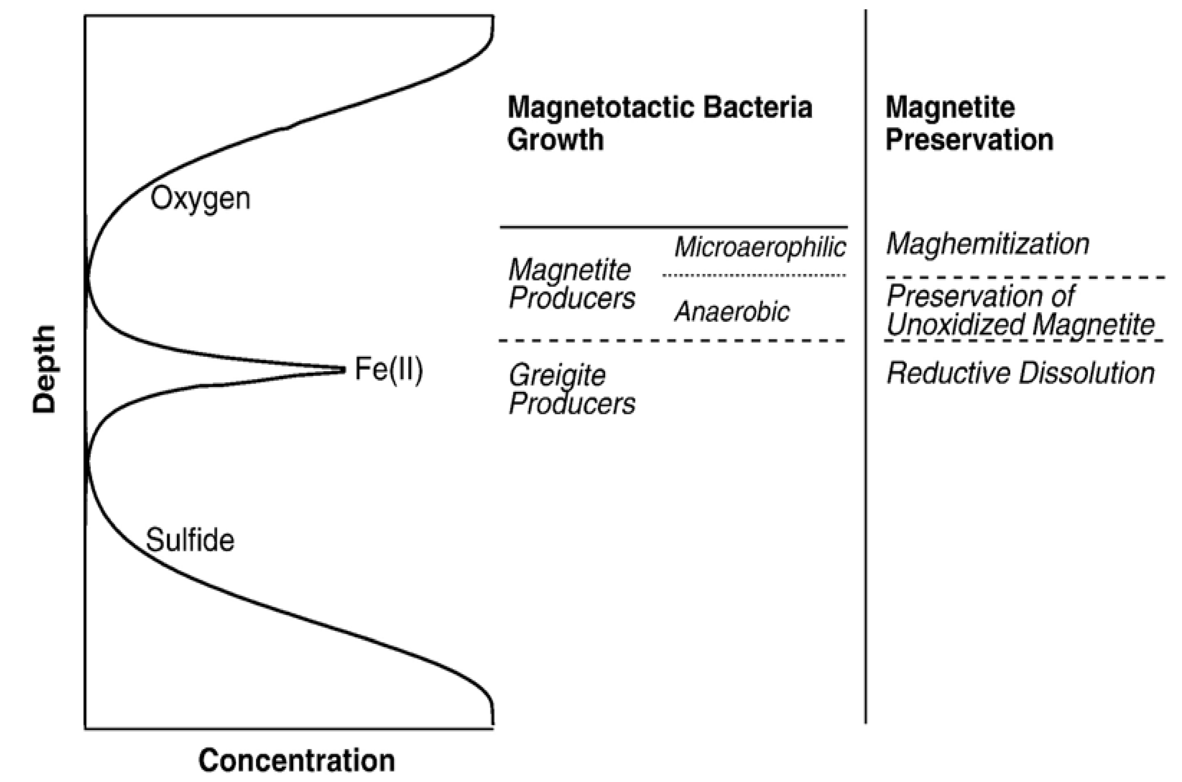 Magnetochemistry 07 00086 g001