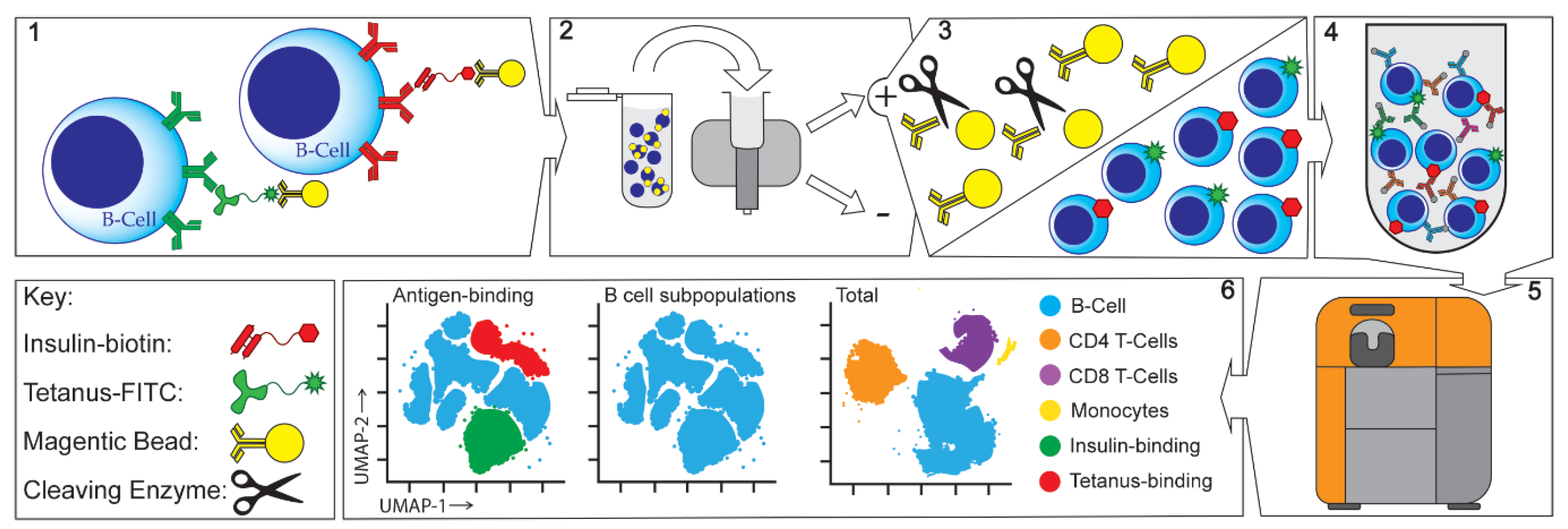 Magnetochemistry 07 00092 g001 550