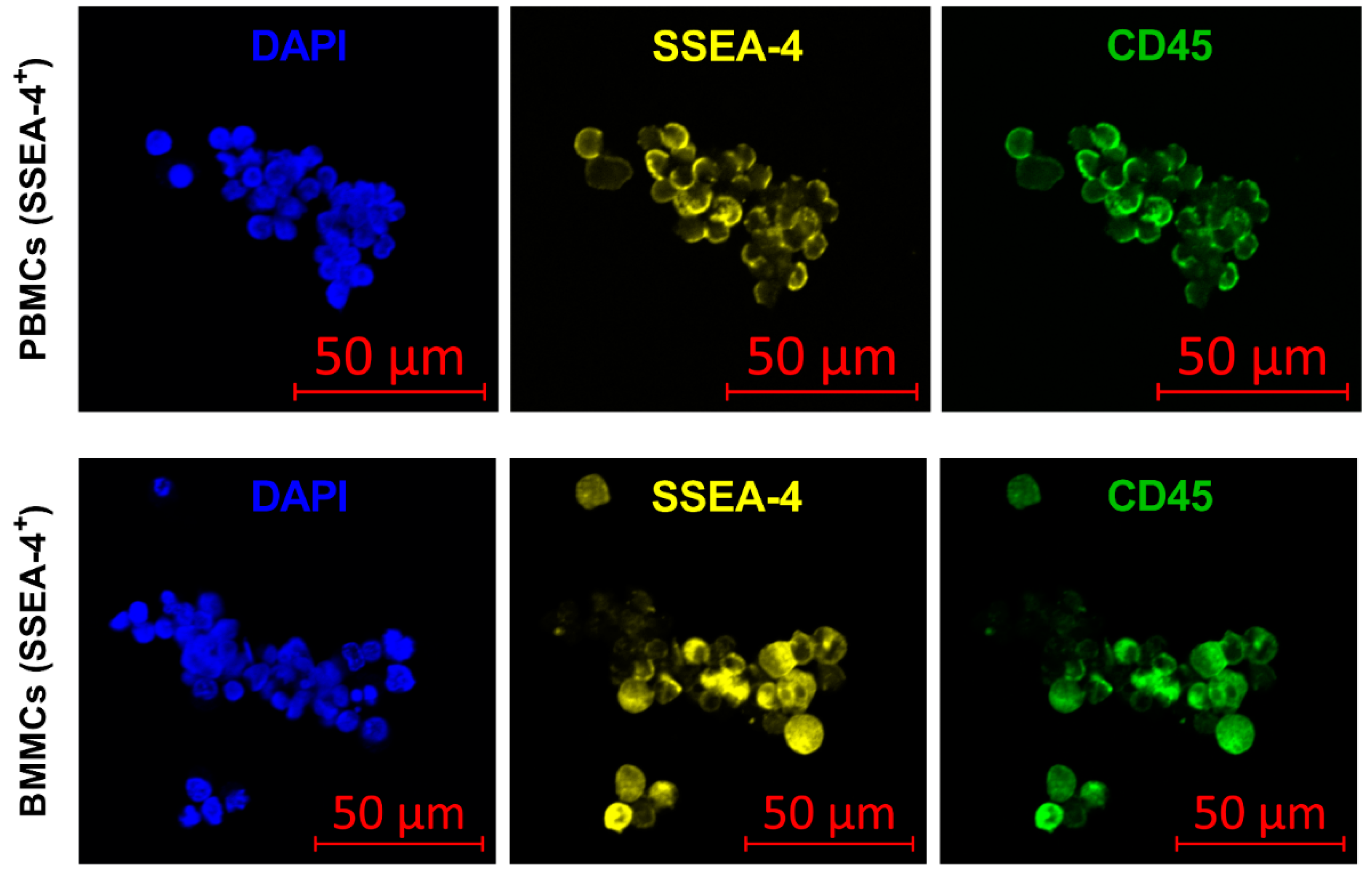 Magnetochemistry 07 00094 g0a1 Magnetochemistry 07 00094 g0a1