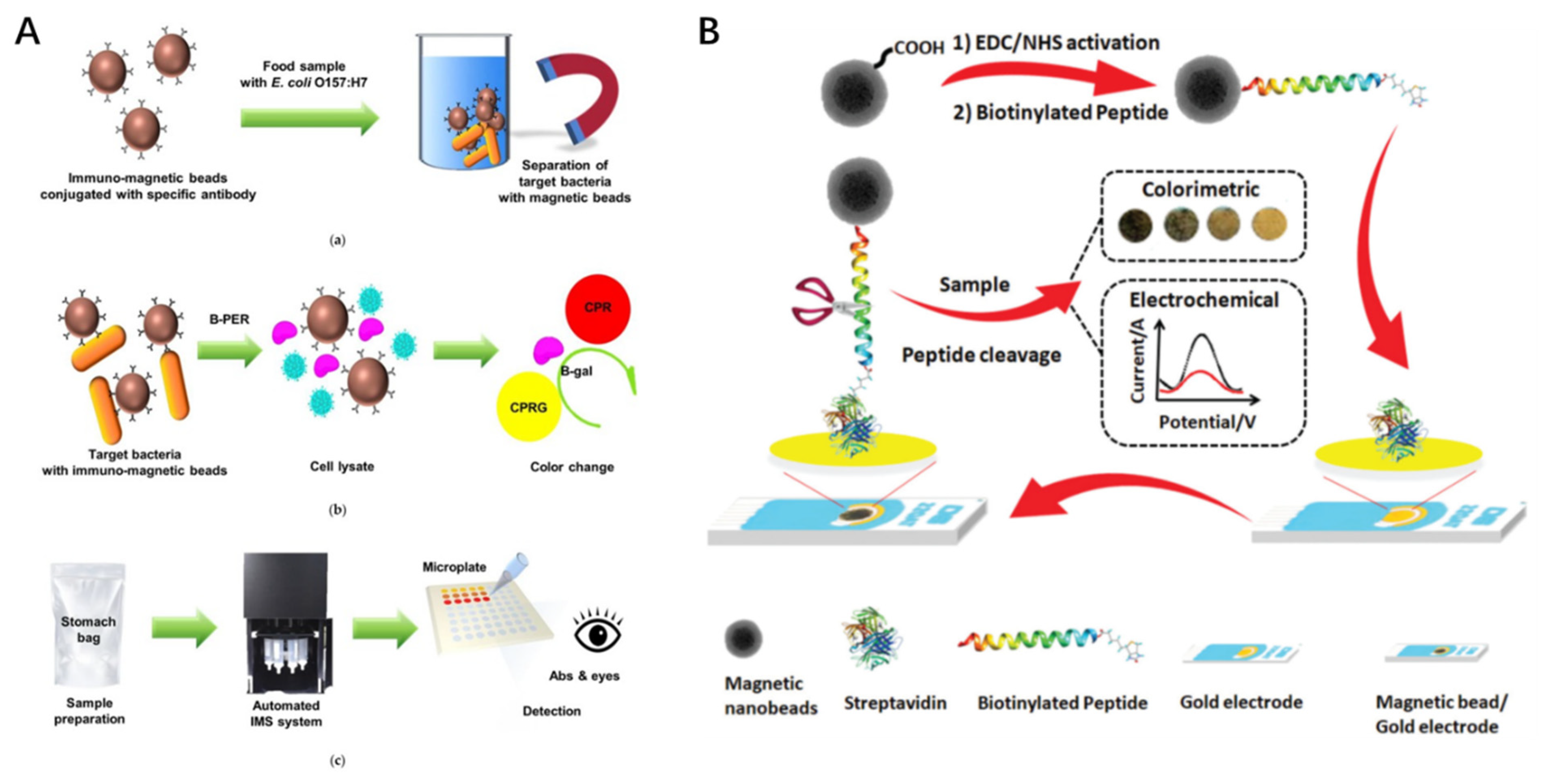 Magnetochemistry 07 00112 g001 550