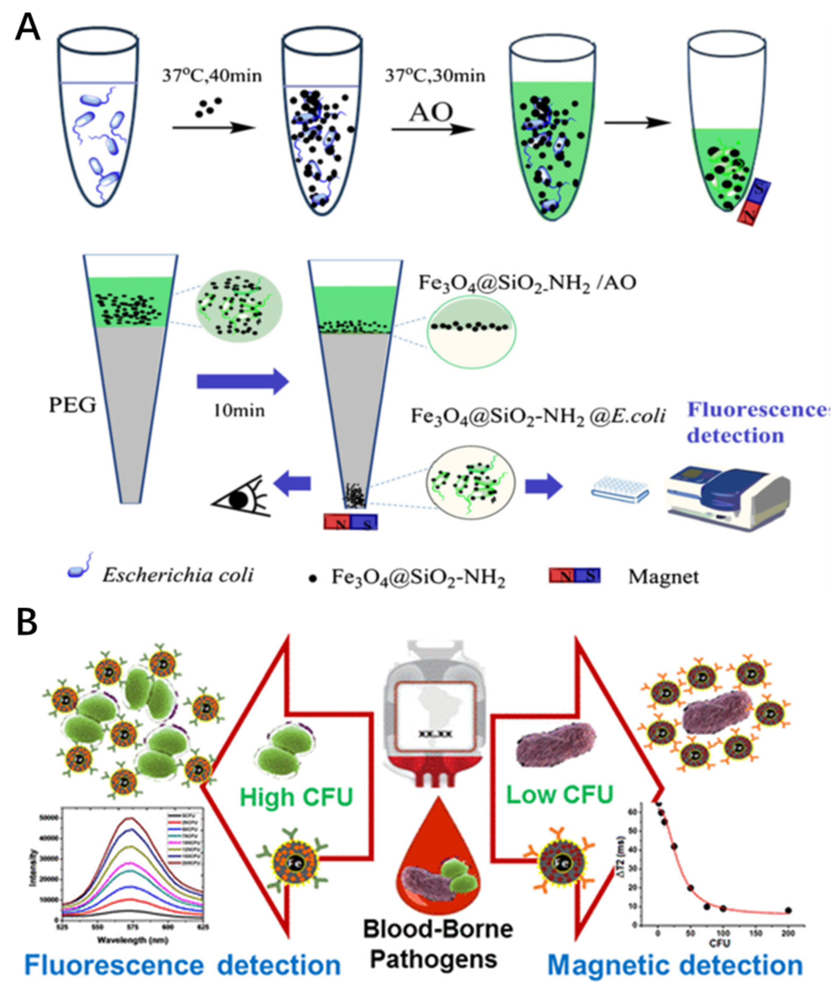 Magnetochemistry 07 00112 g002 550
