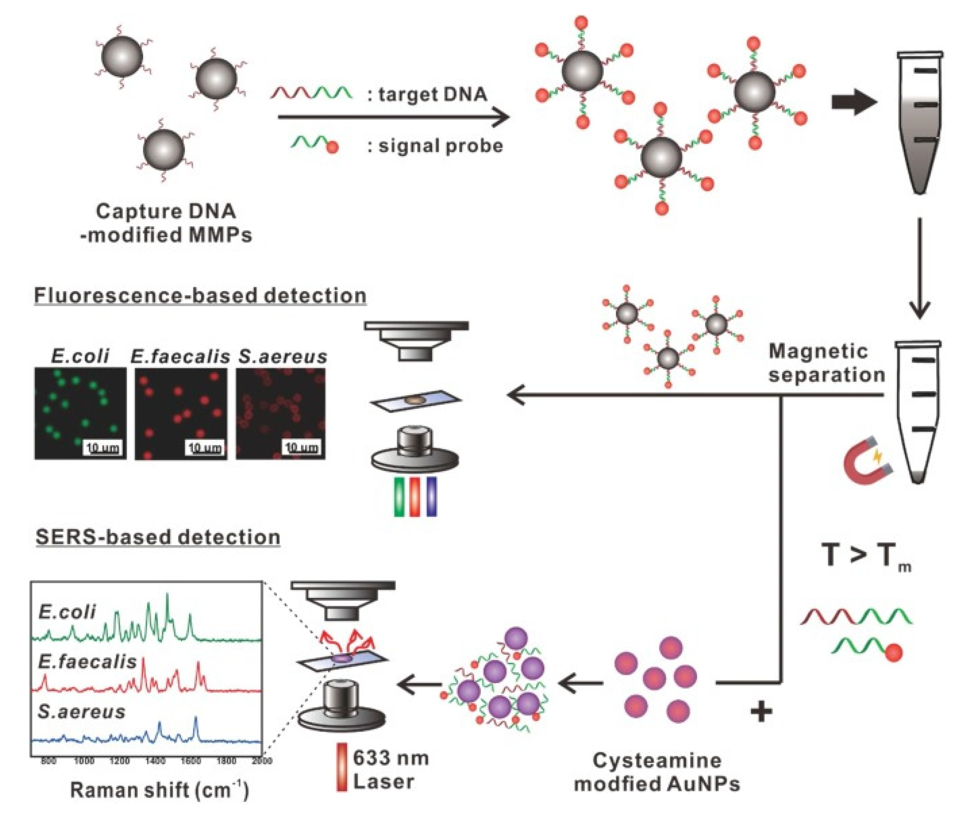 Magnetochemistry 07 00112 g003 550