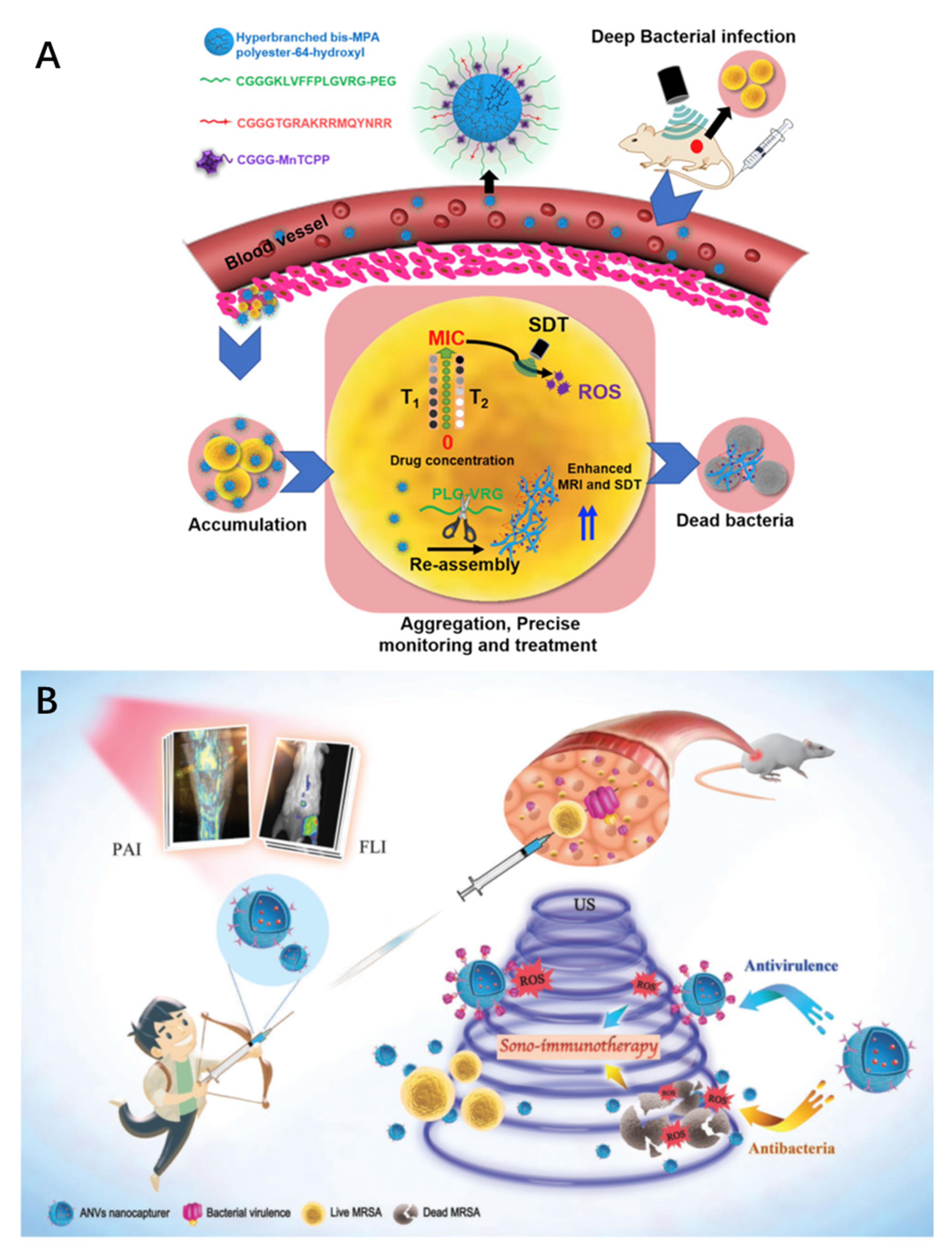 Magnetochemistry 07 00112 g005 550
