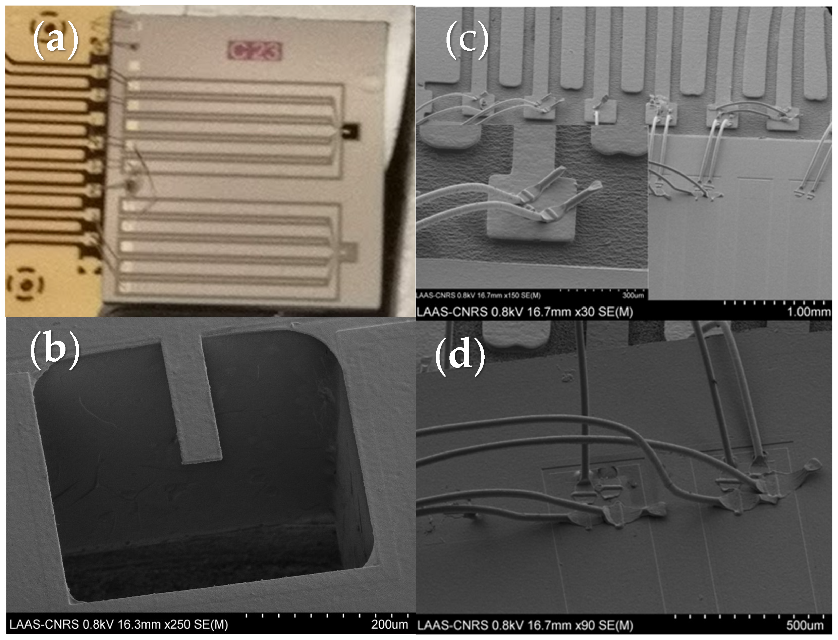 Magnetochemistry 07 00114 g001 550