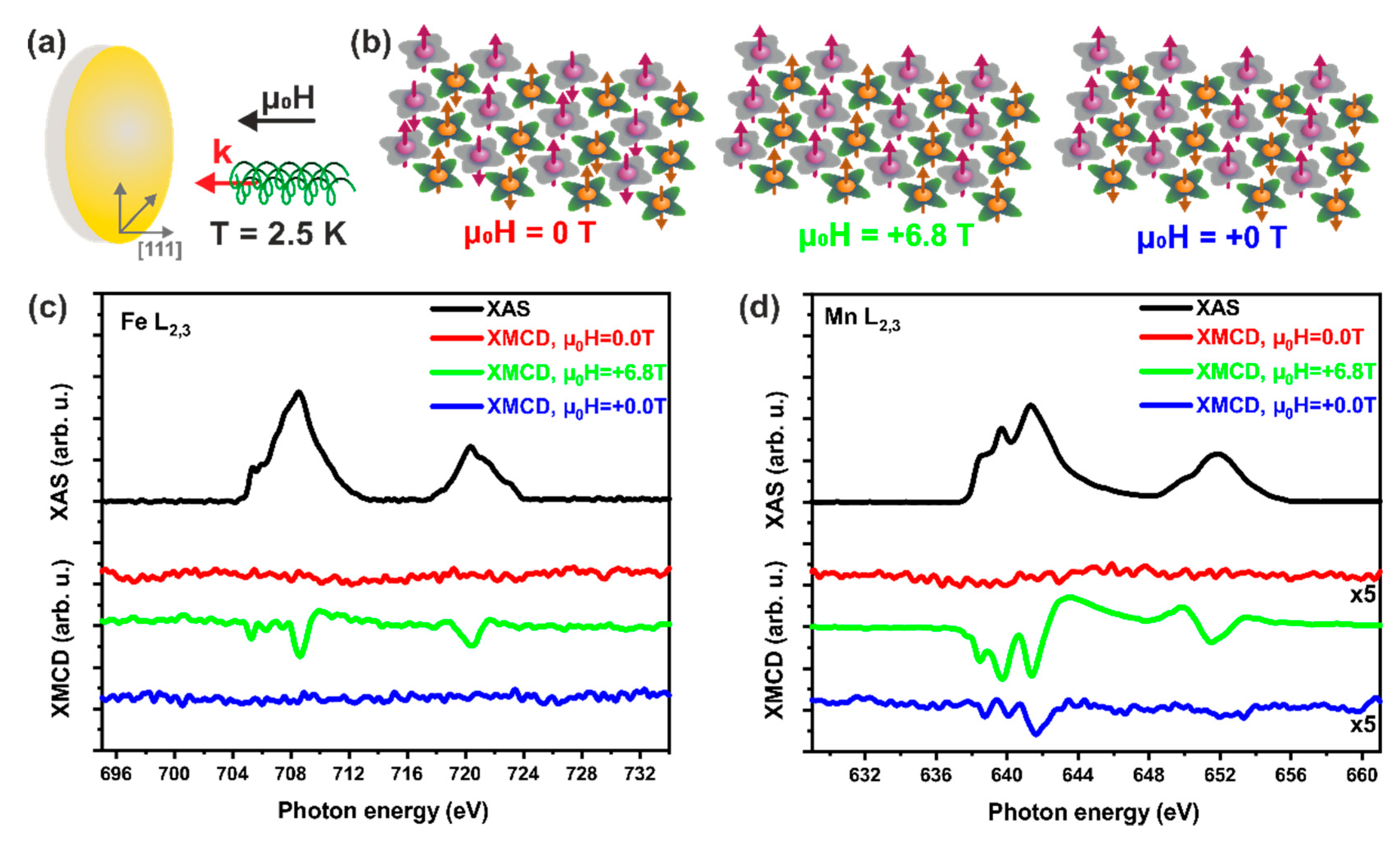 Magnetochemistry 07 00119 g002