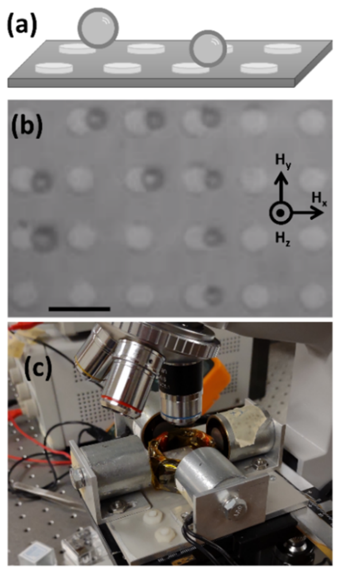 Magnetochemistry 07 00120 g001