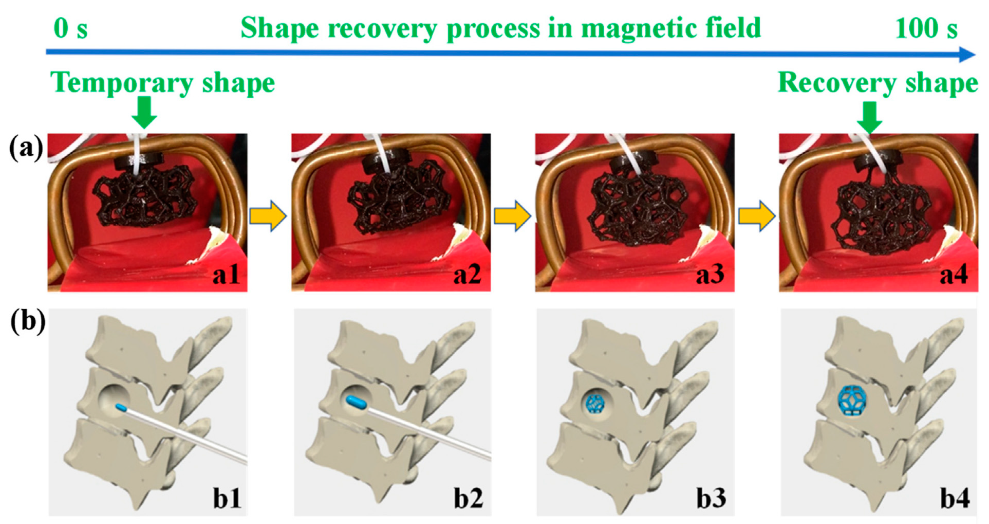 Magnetochemistry 07 00123 g006