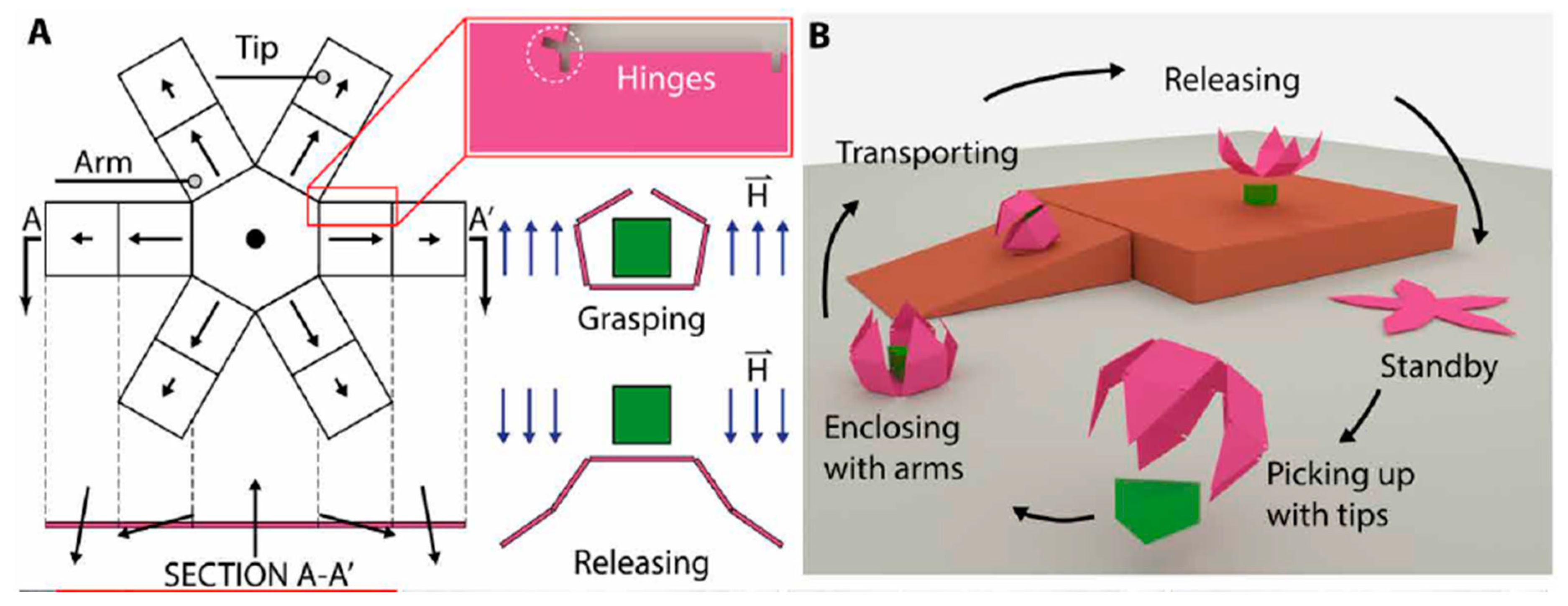 Magnetochemistry 07 00123 g010