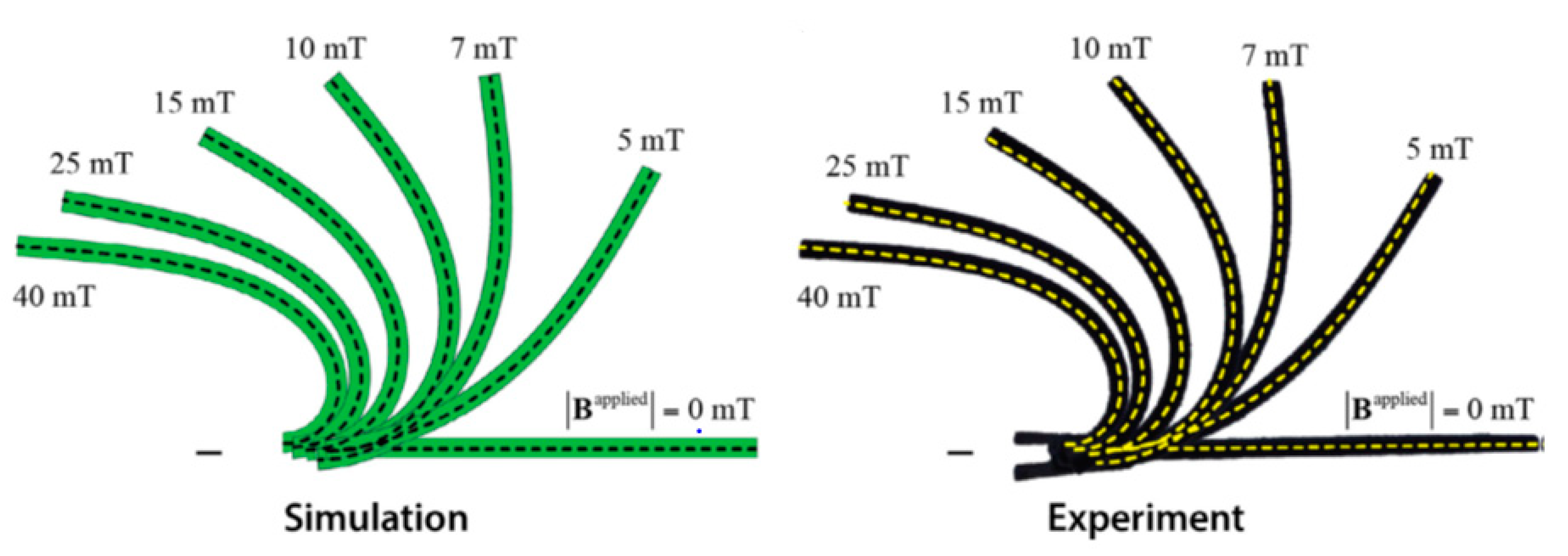 Magnetochemistry 07 00123 g014