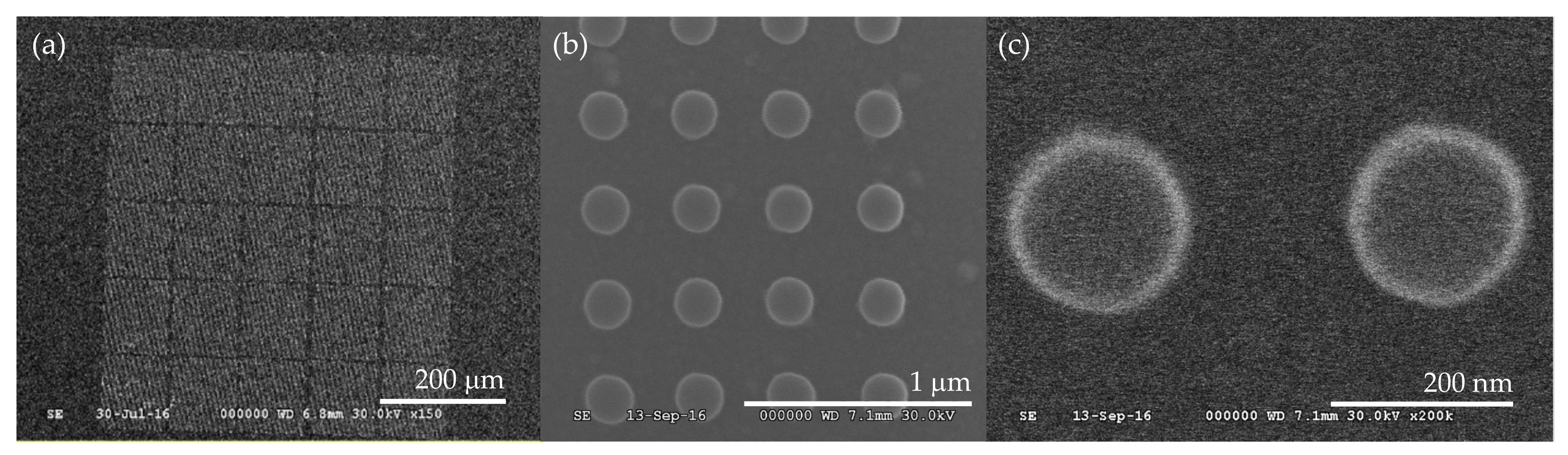 Magnetochemistry 07 00126 g003 550